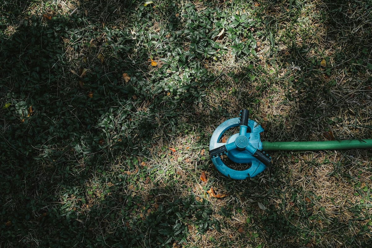 Arroseur de pelouse et tuyau posés sur une herbe sèche - Guardiens