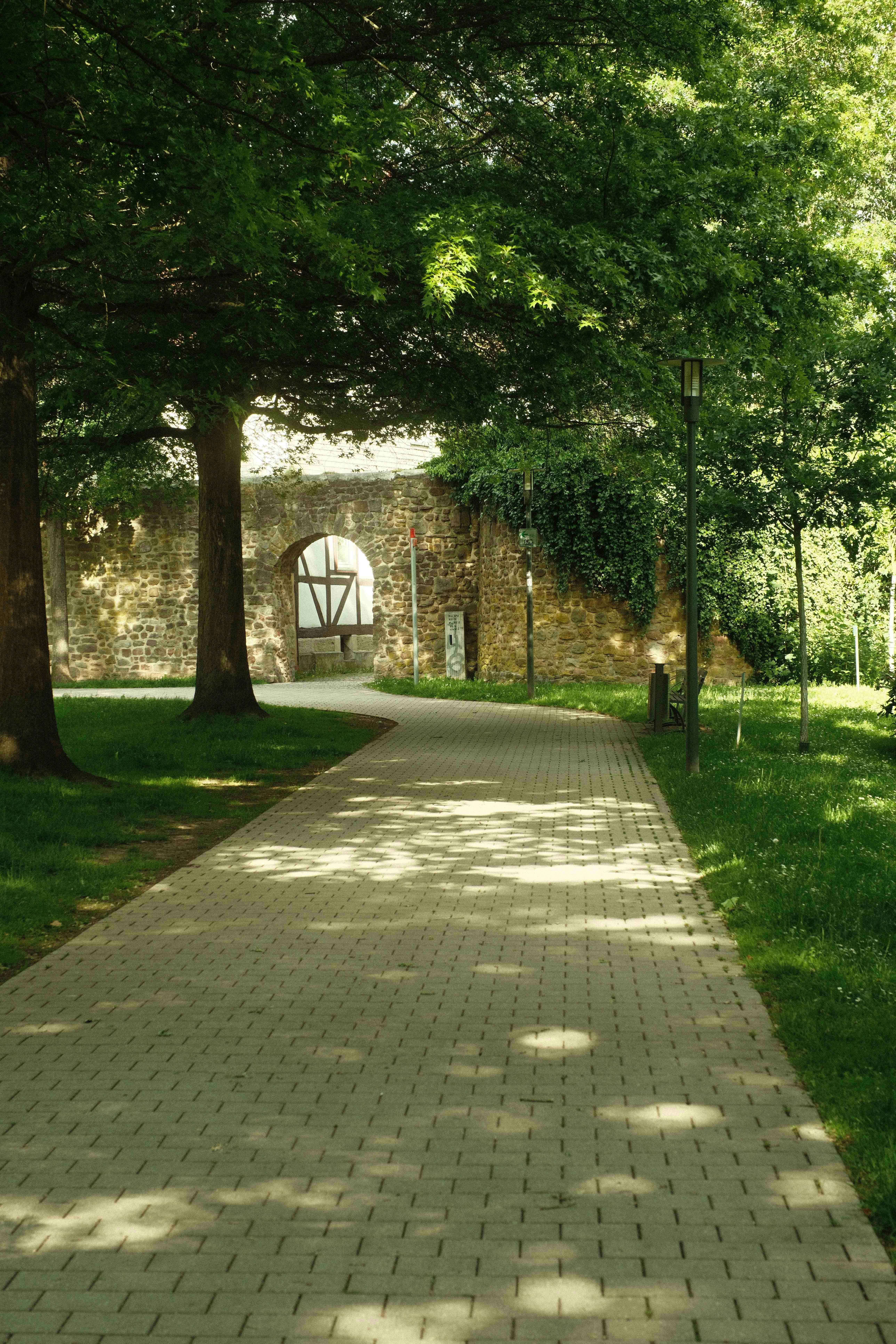 Un chemin pavé baigné de soleil, des arbres verts et un vieux mur de pierre.