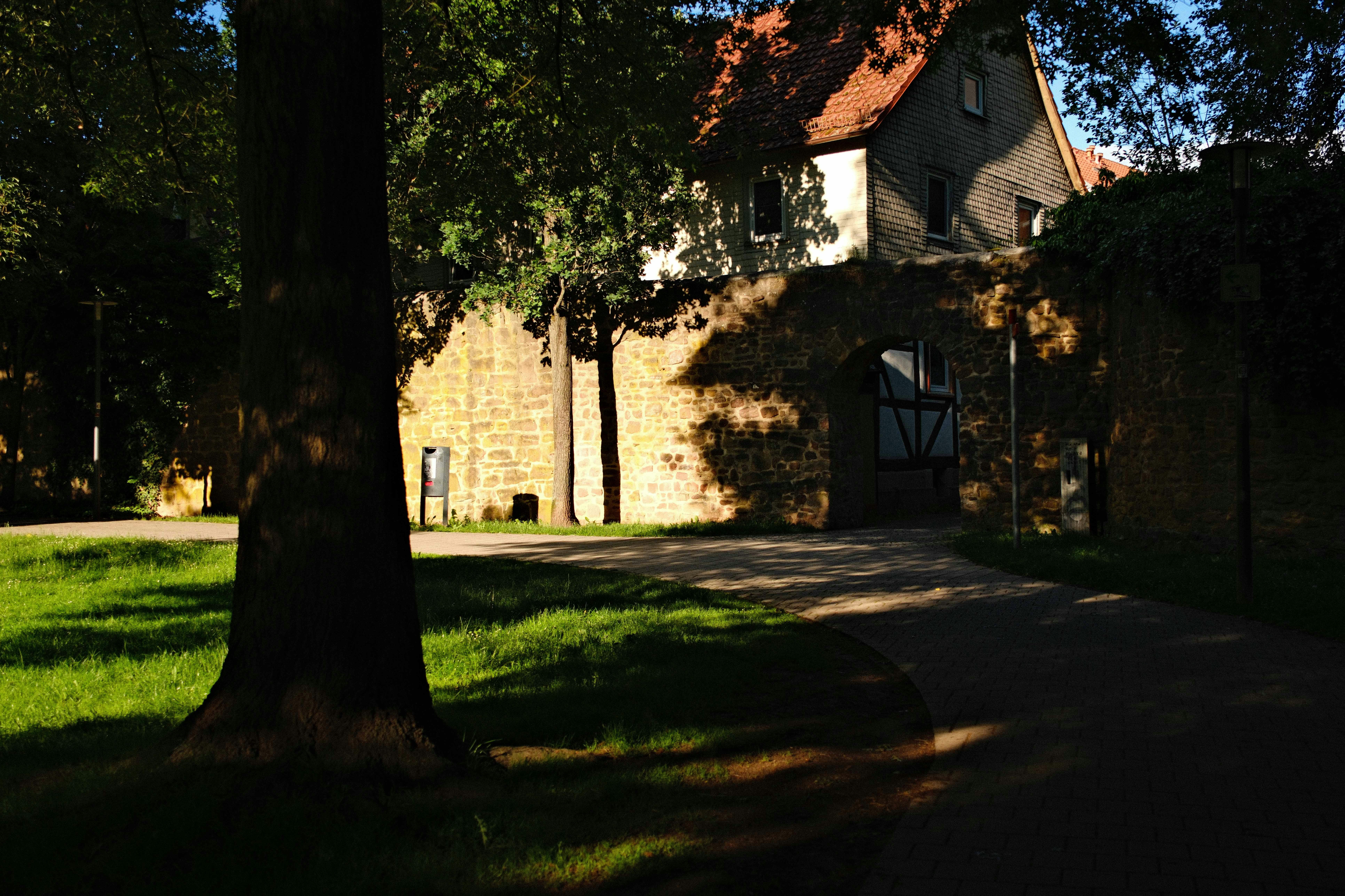Ancienne arche en pierre et bâtiment avec un grand arbre.