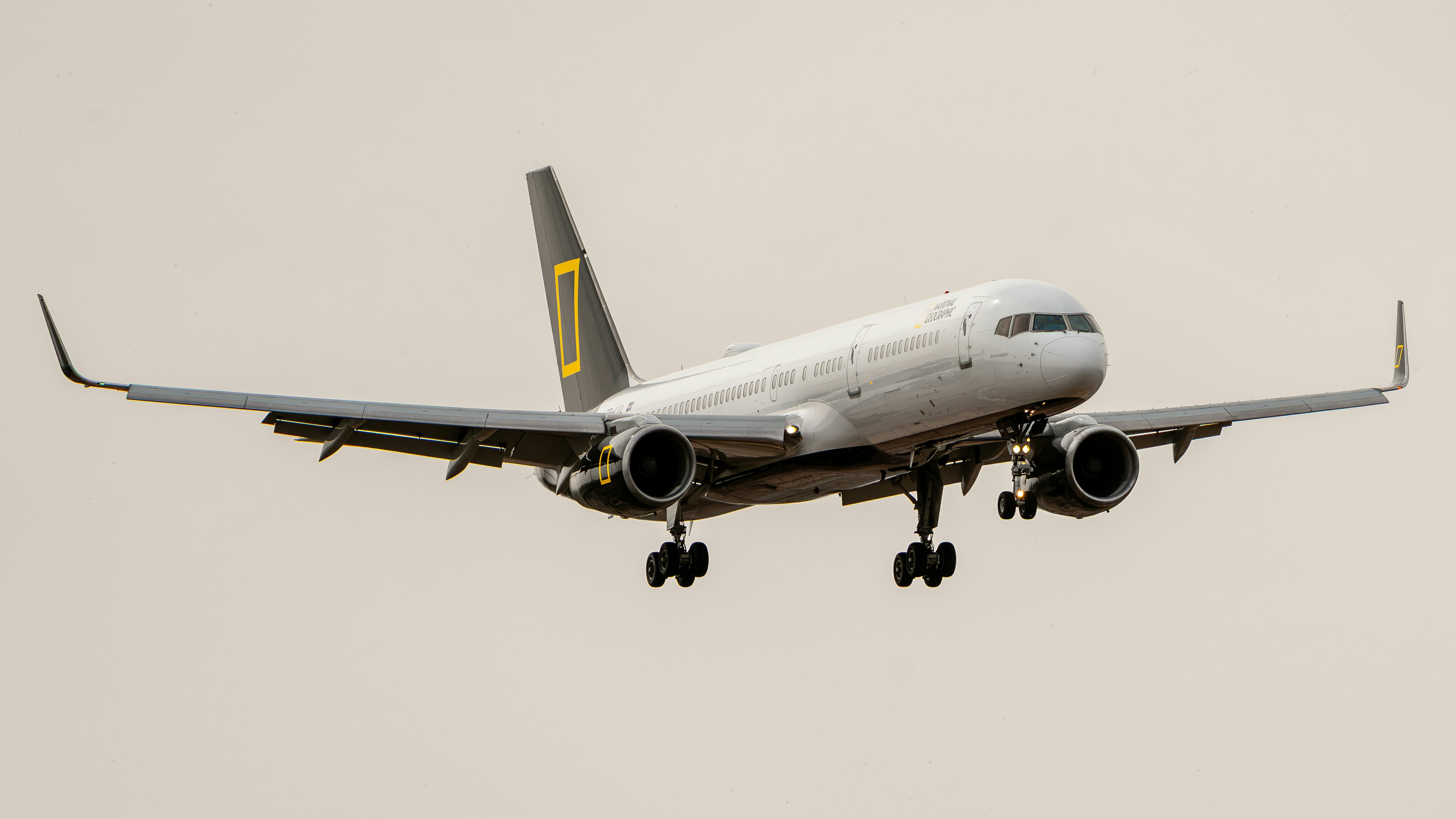 An airplane with a yellow tail landing