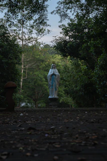 A statue of the virgin mary surrounded by trees.