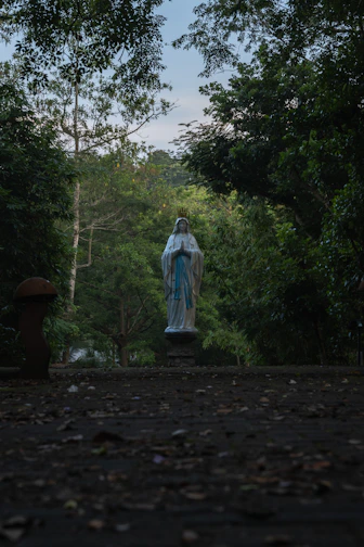 A statue of the virgin mary surrounded by trees.