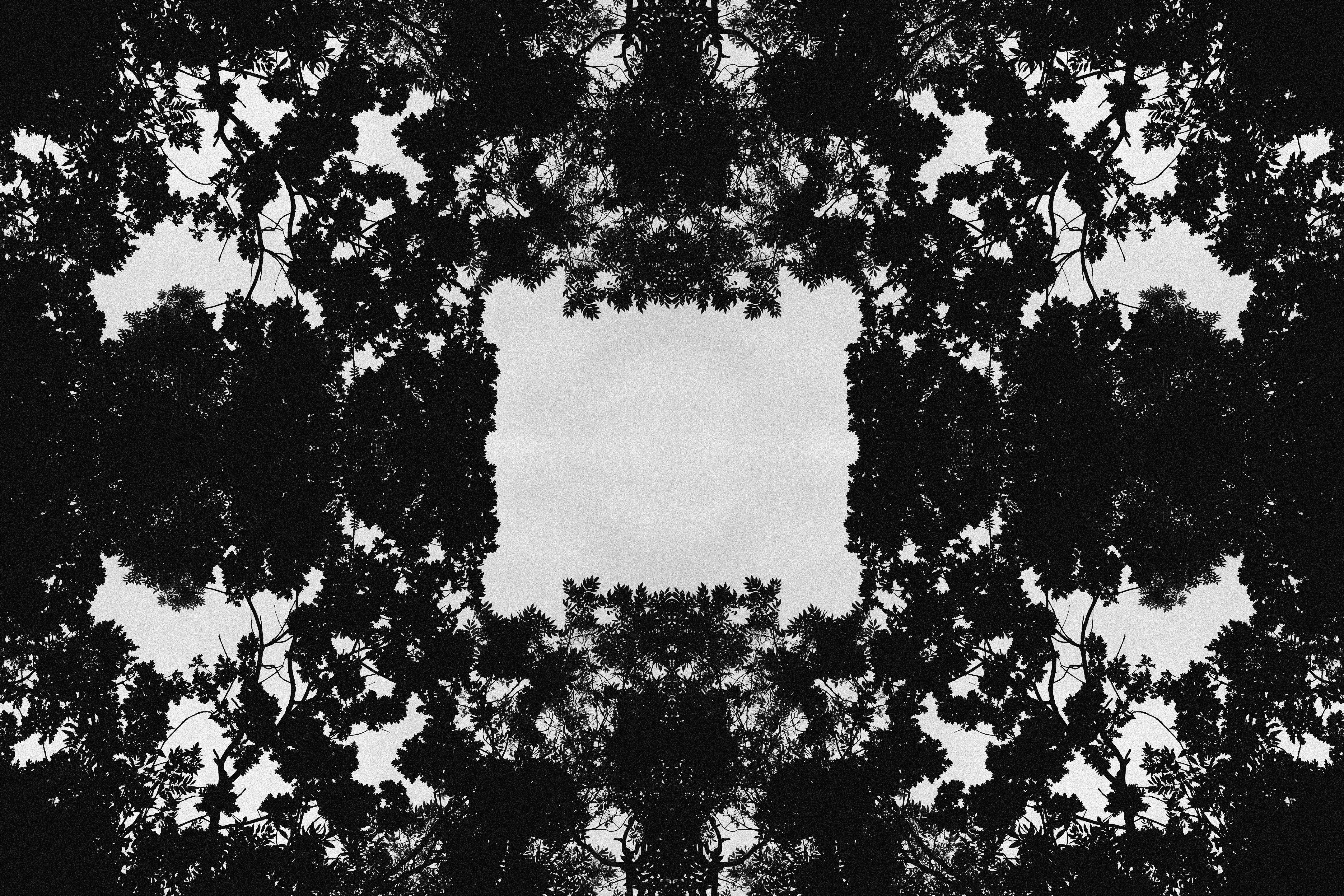 Kaleidoscopic symmetrical pattern of dark tree branches