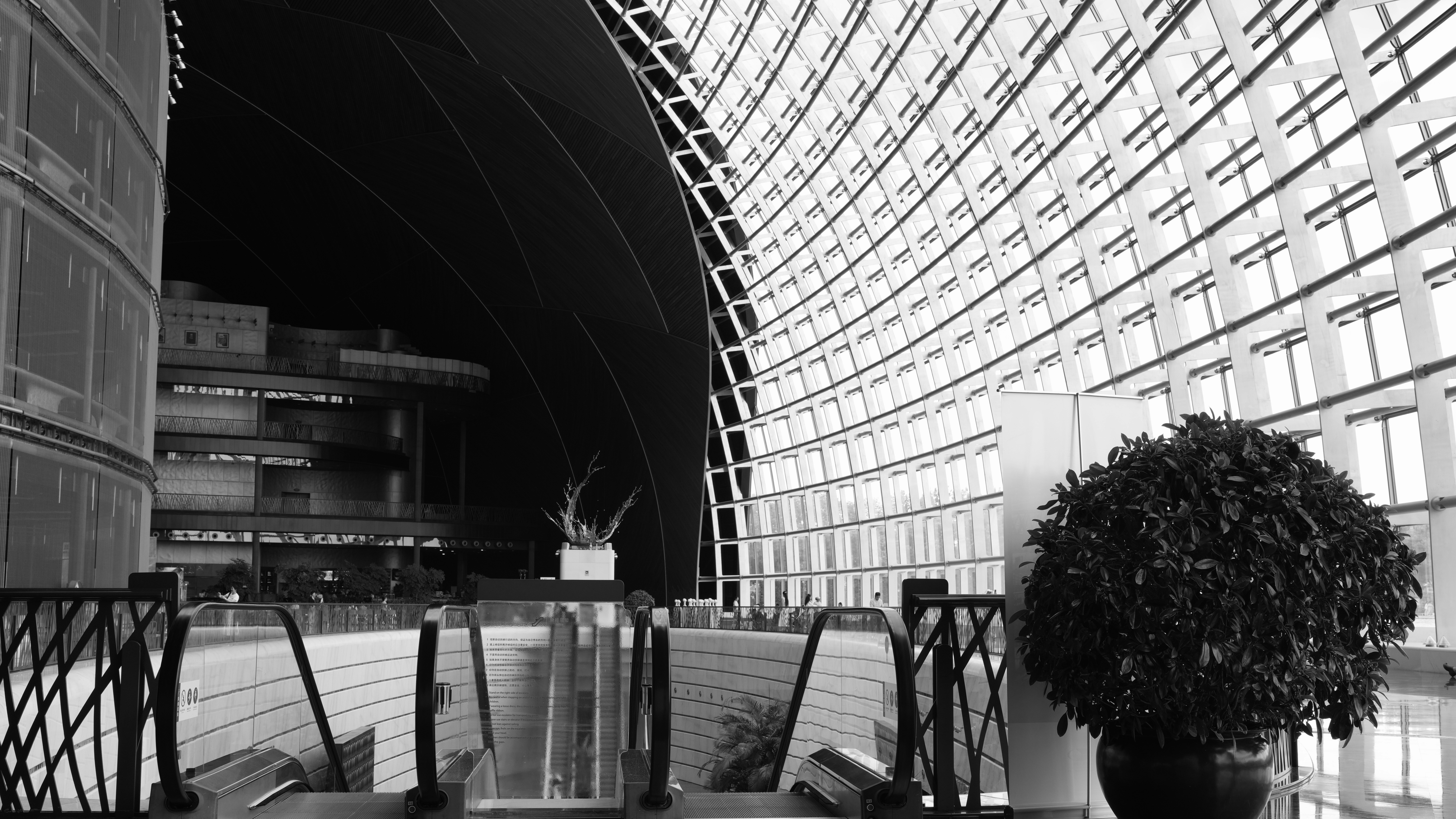 Modern building interior with curved glass wall and potted plant.