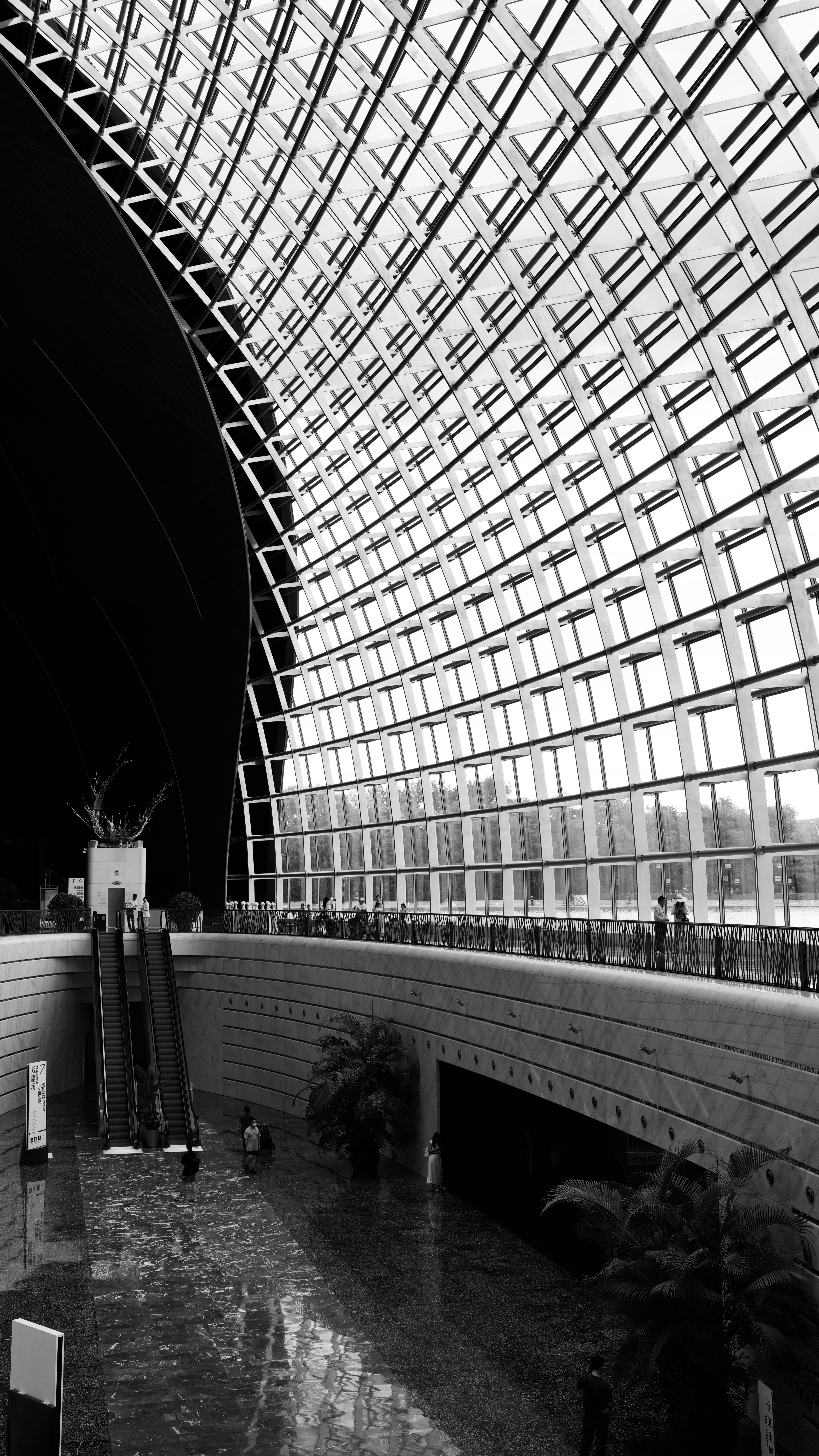 Modern architectural interior with curved glass ceiling and reflective floor.