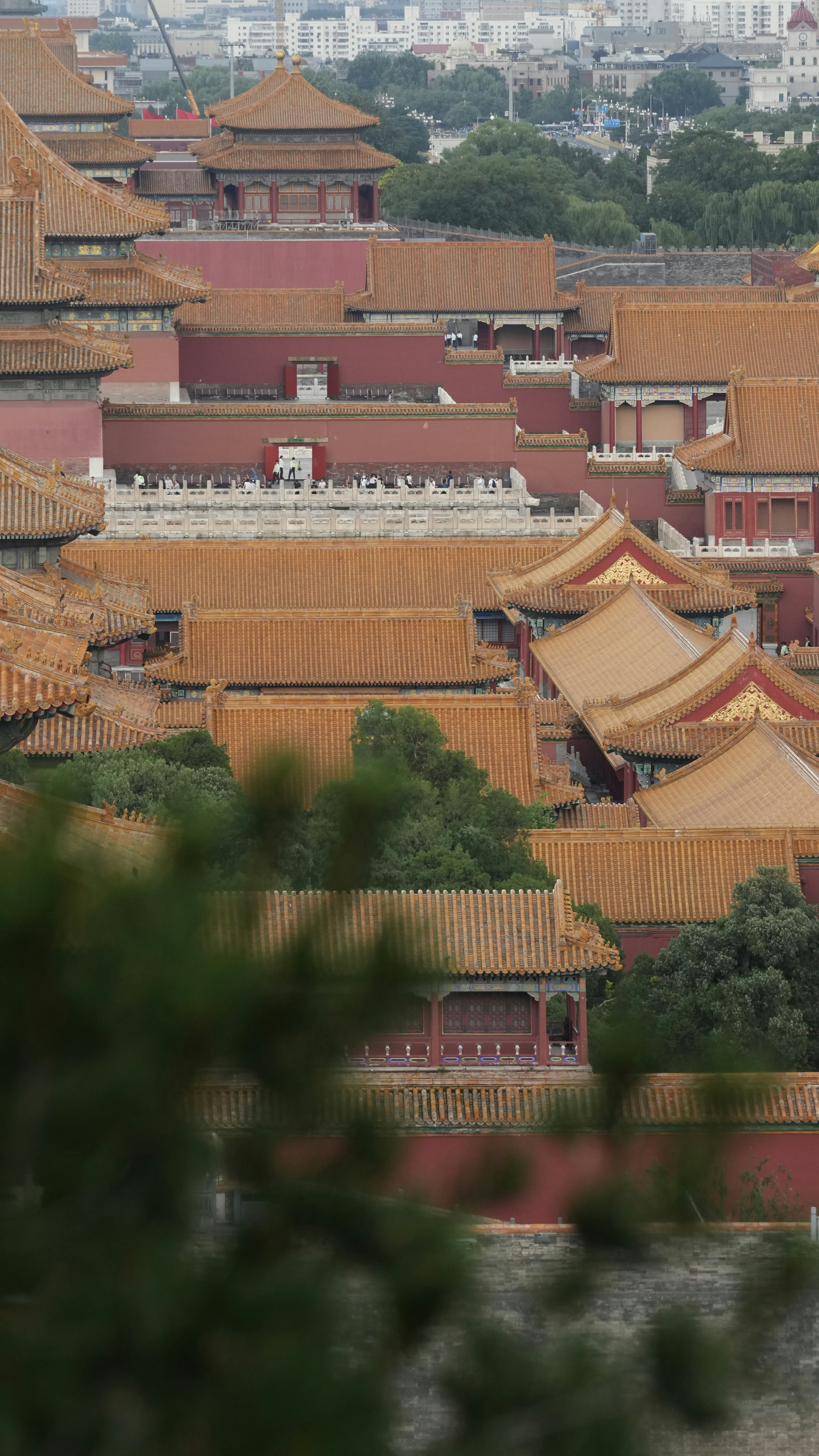 Traditional chinese buildings with red walls and golden roofs.