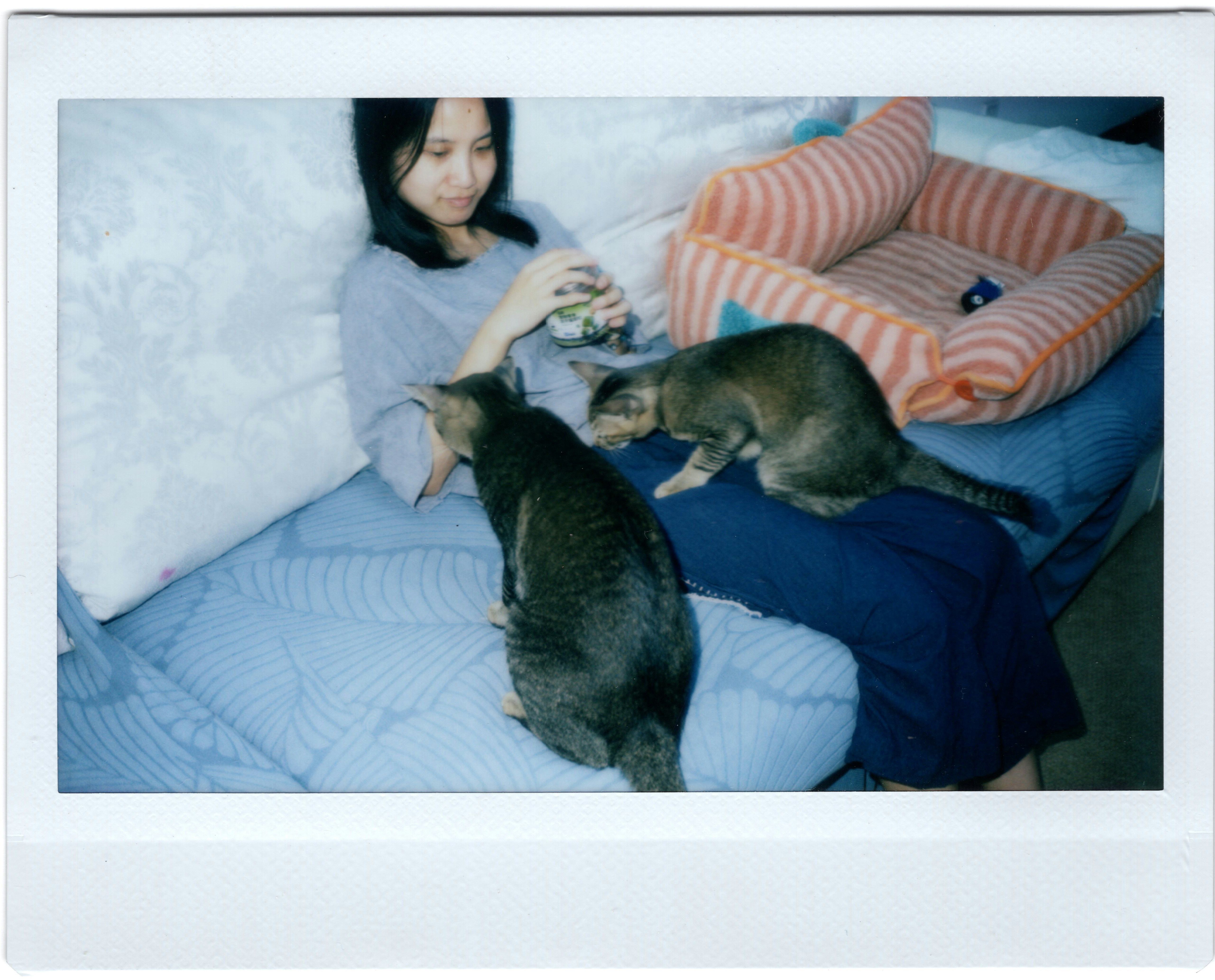 Woman relaxing on bed with two cats.