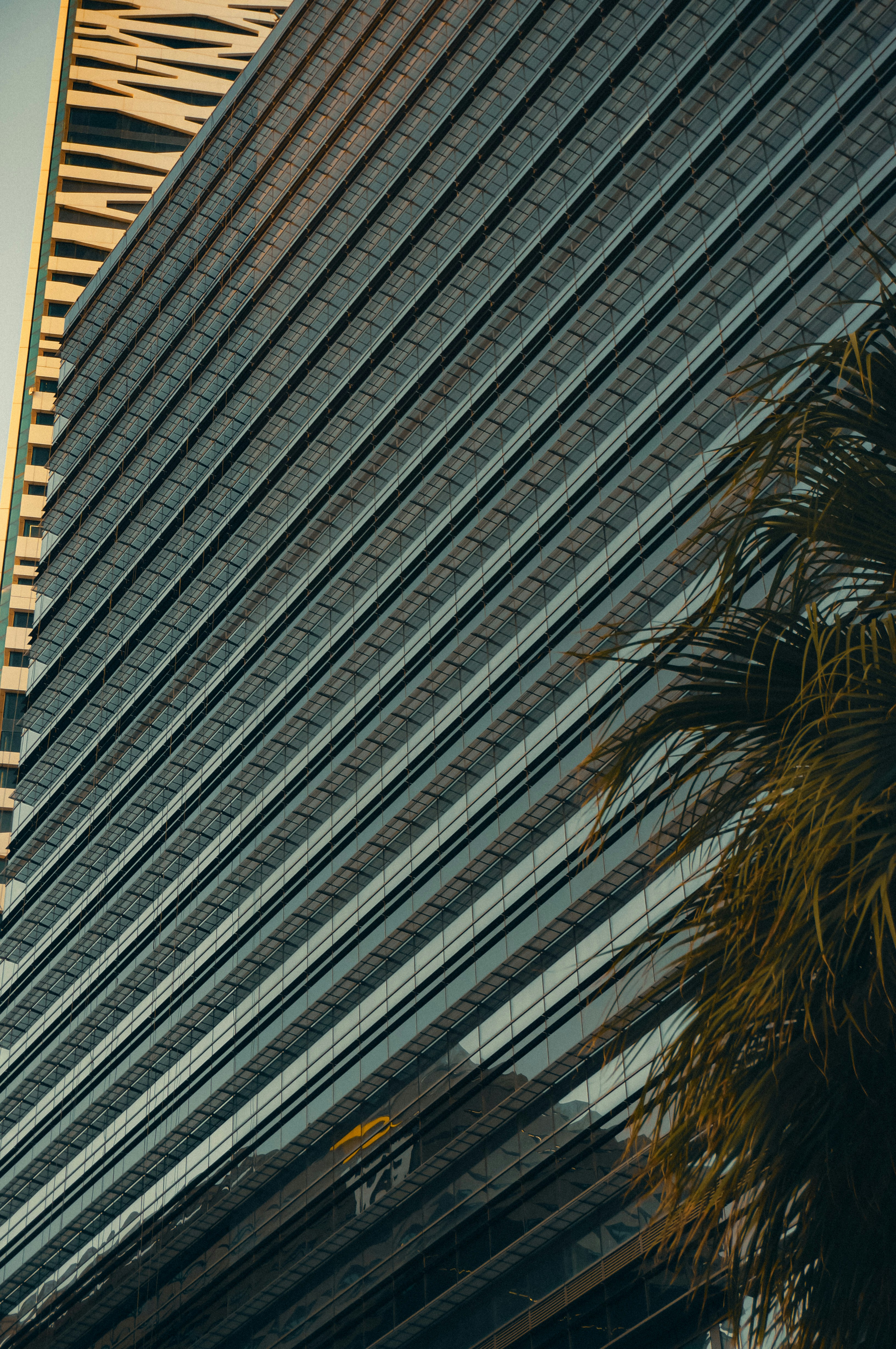 Modern glass building with a palm tree and patterned facade.