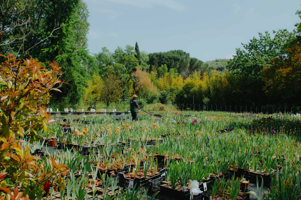 Gartenarbeit zwischen Pflanzen