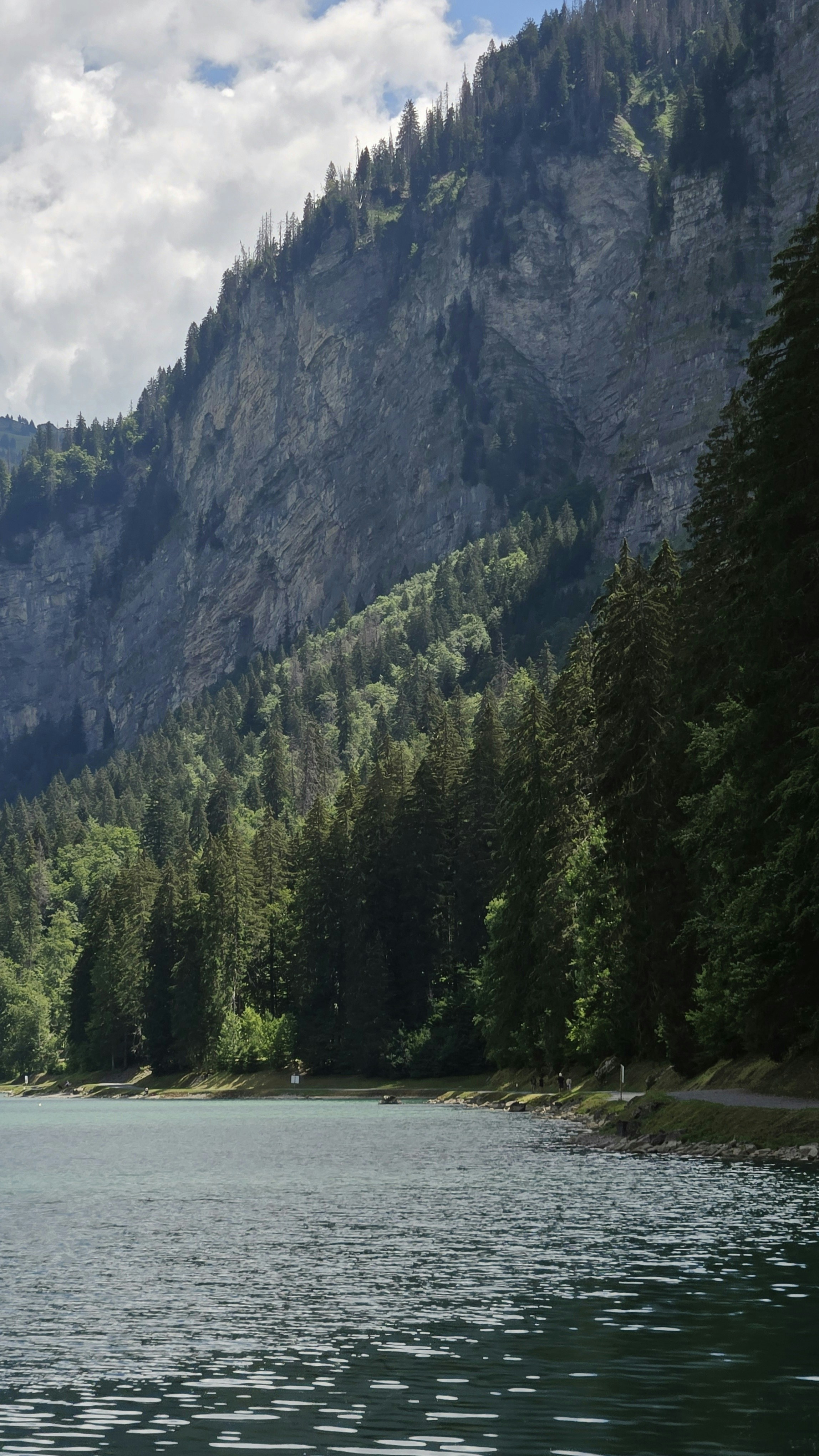 Rocky mountain towering over a lake and evergreen forest.