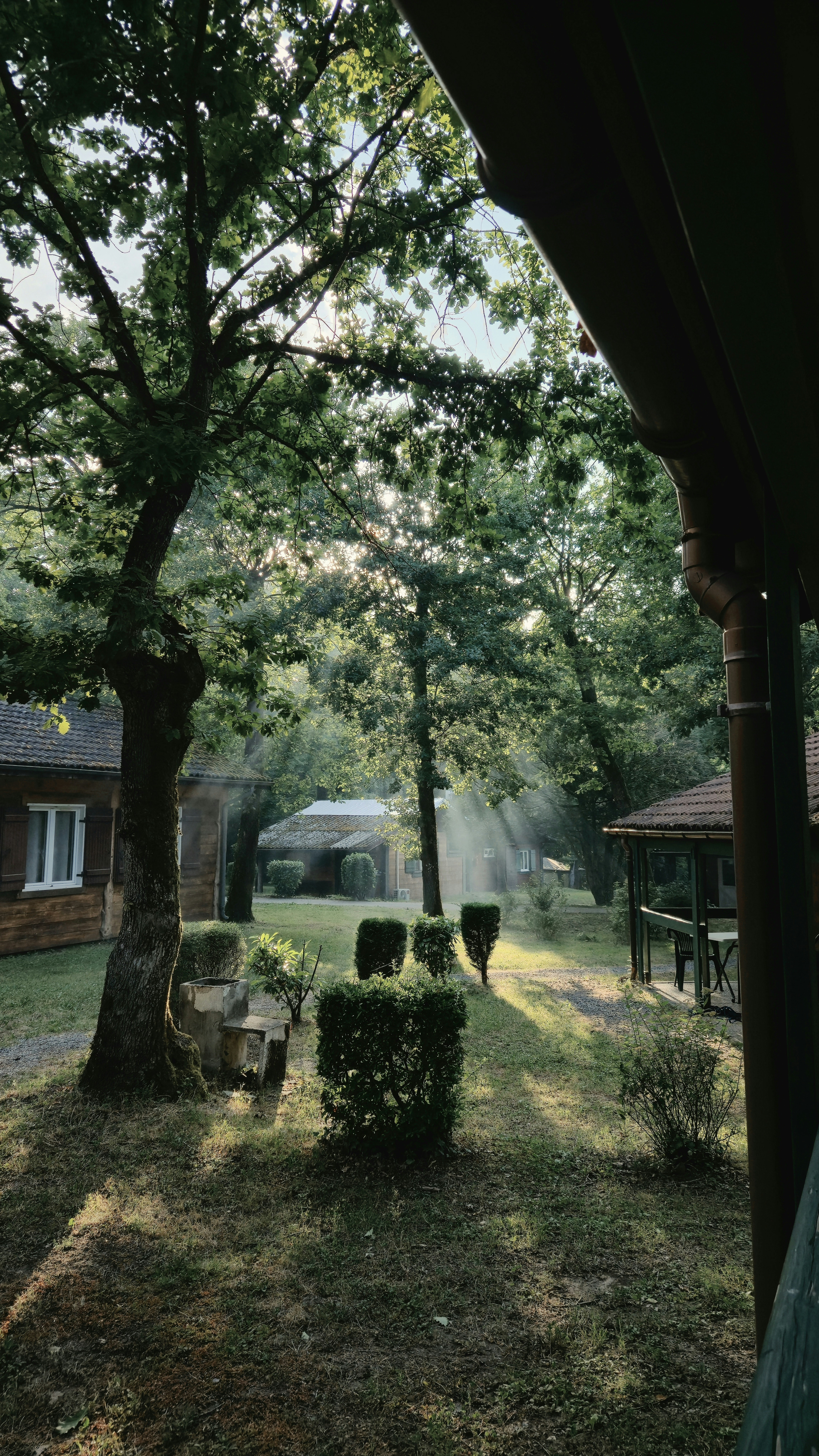 Sun rays shine through trees in a peaceful garden.
