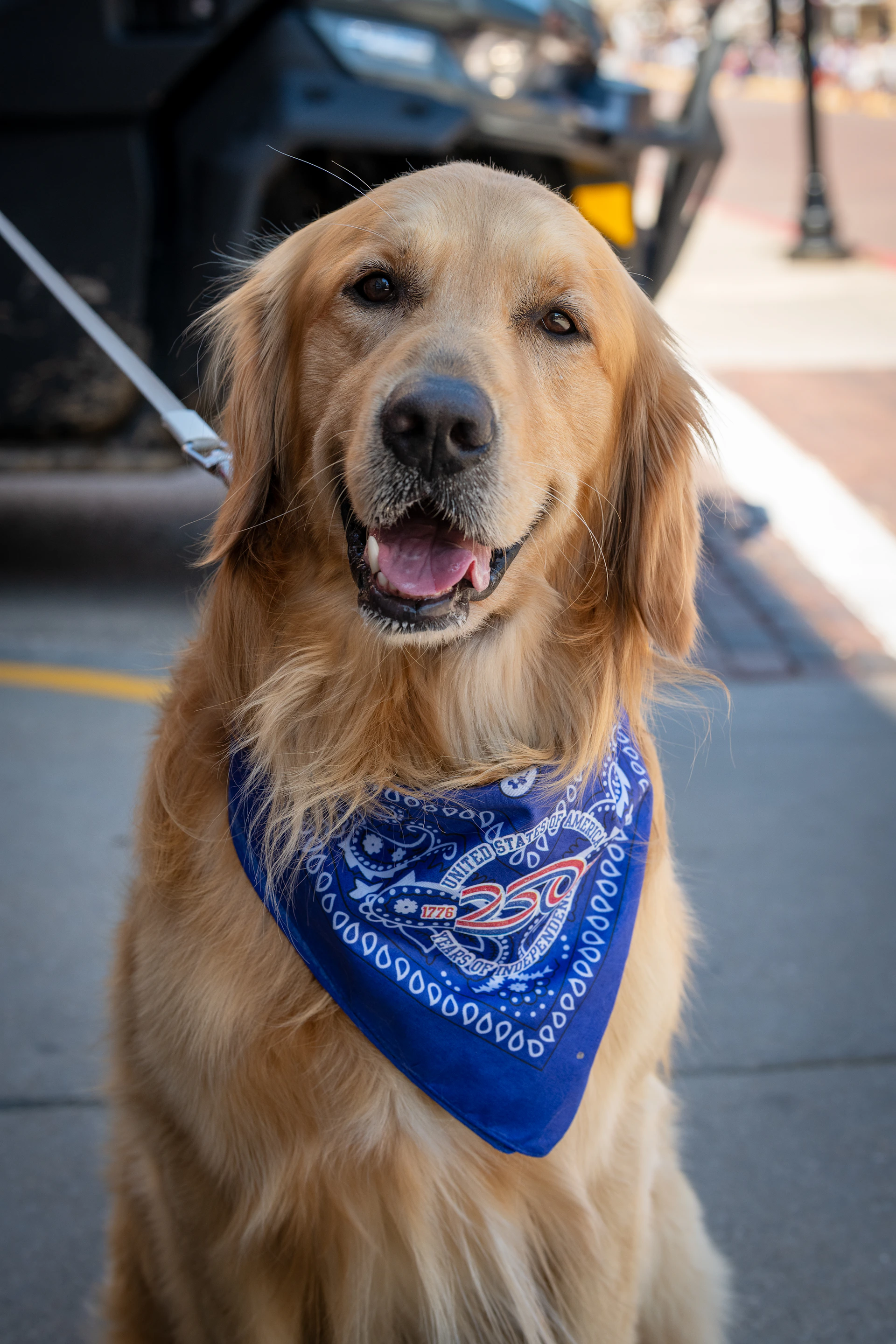 A happy golden retriever dog wearing a blue bandana outdoors.