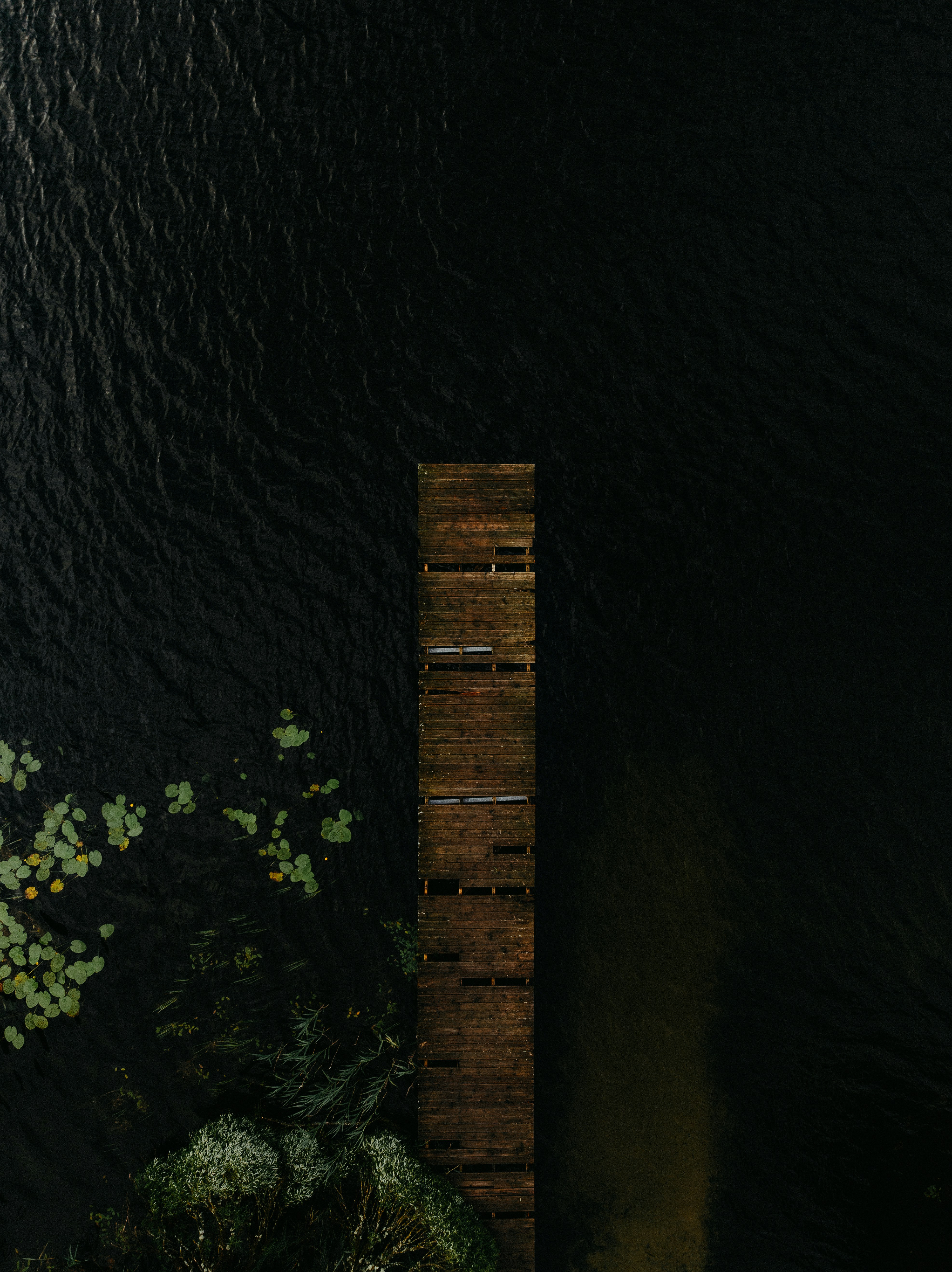 A wooden pier on dark water with green lily pads.