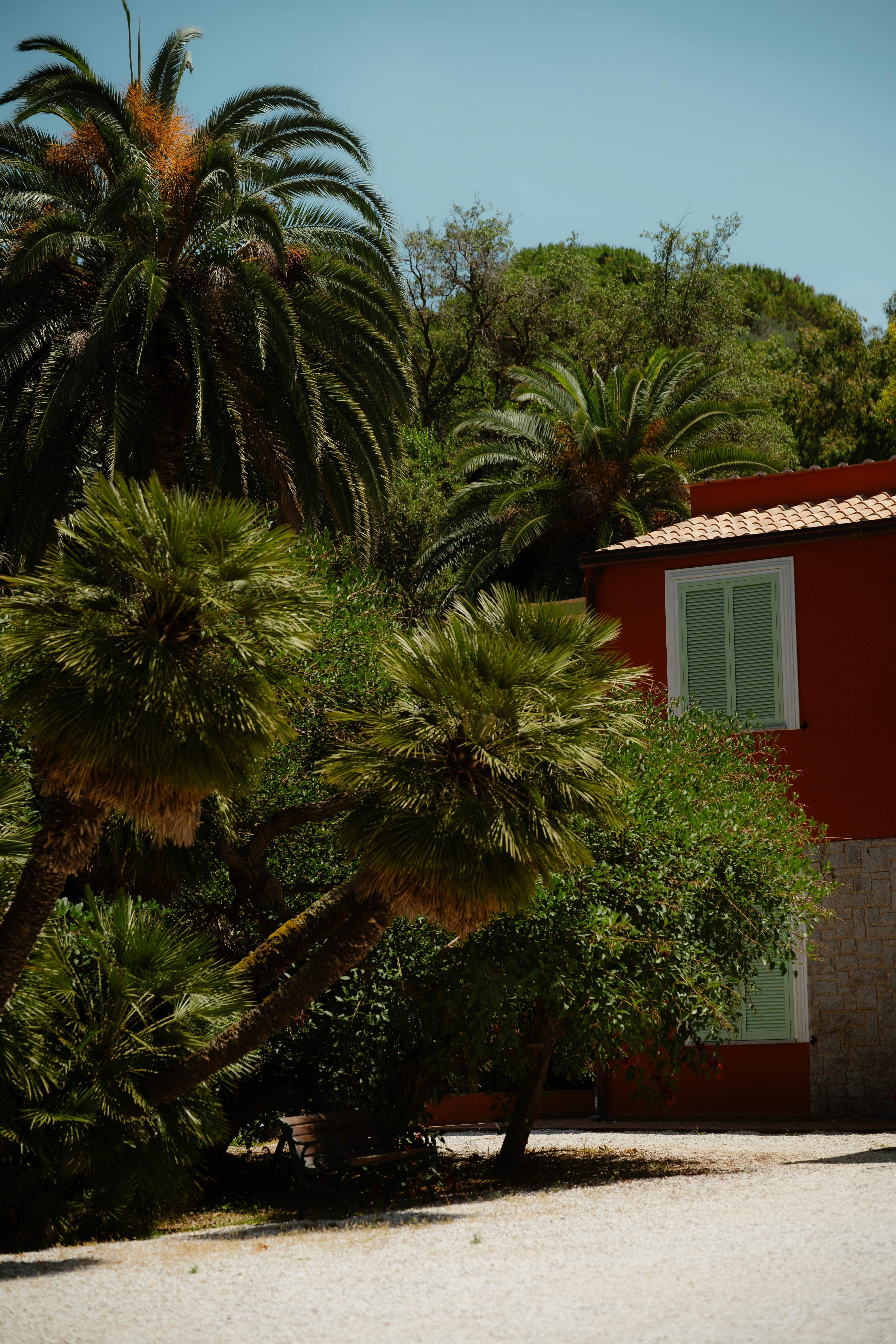 La Maison des Palmiers — Homps