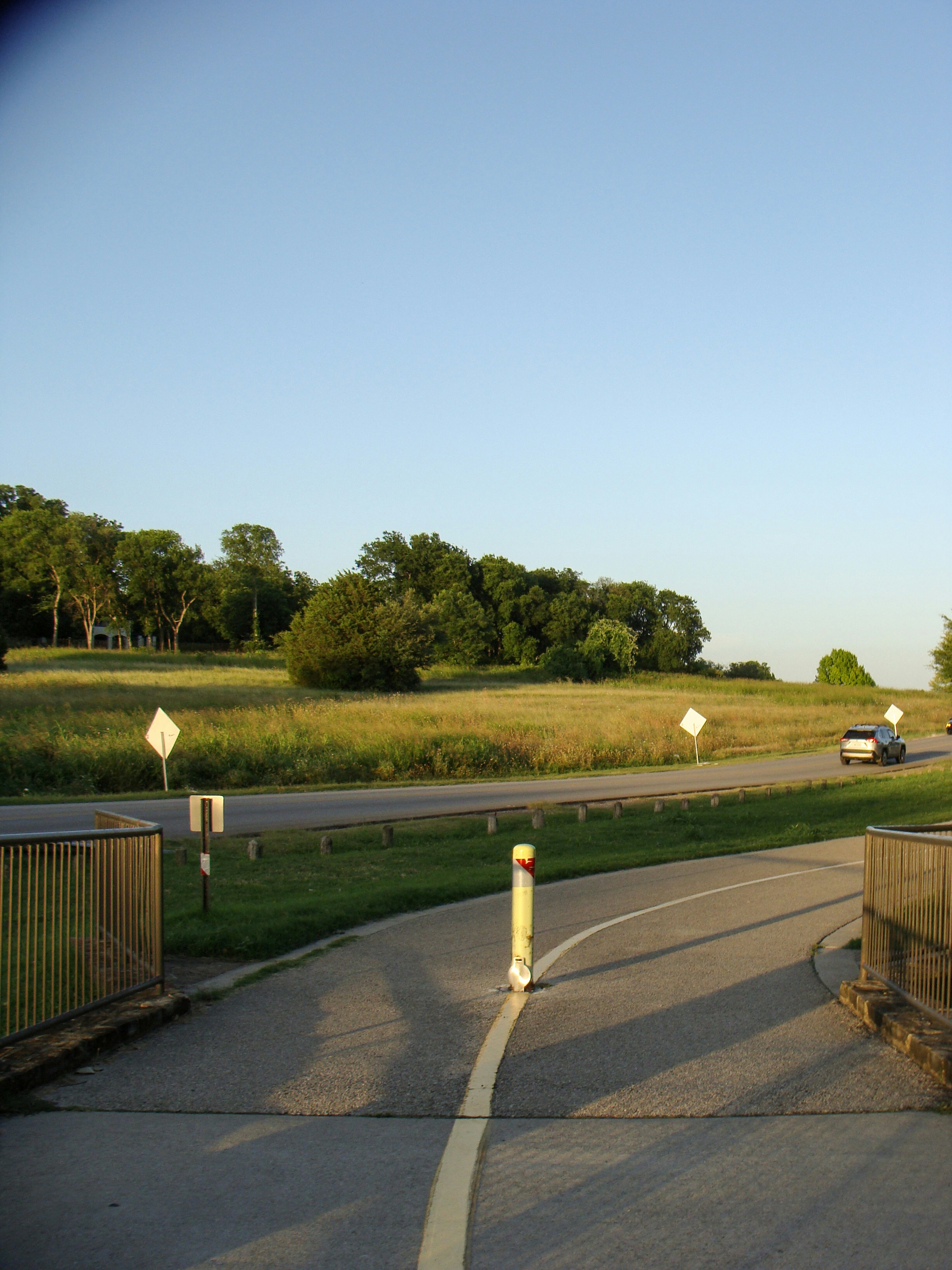 Road curving through a sunny green field with trees.