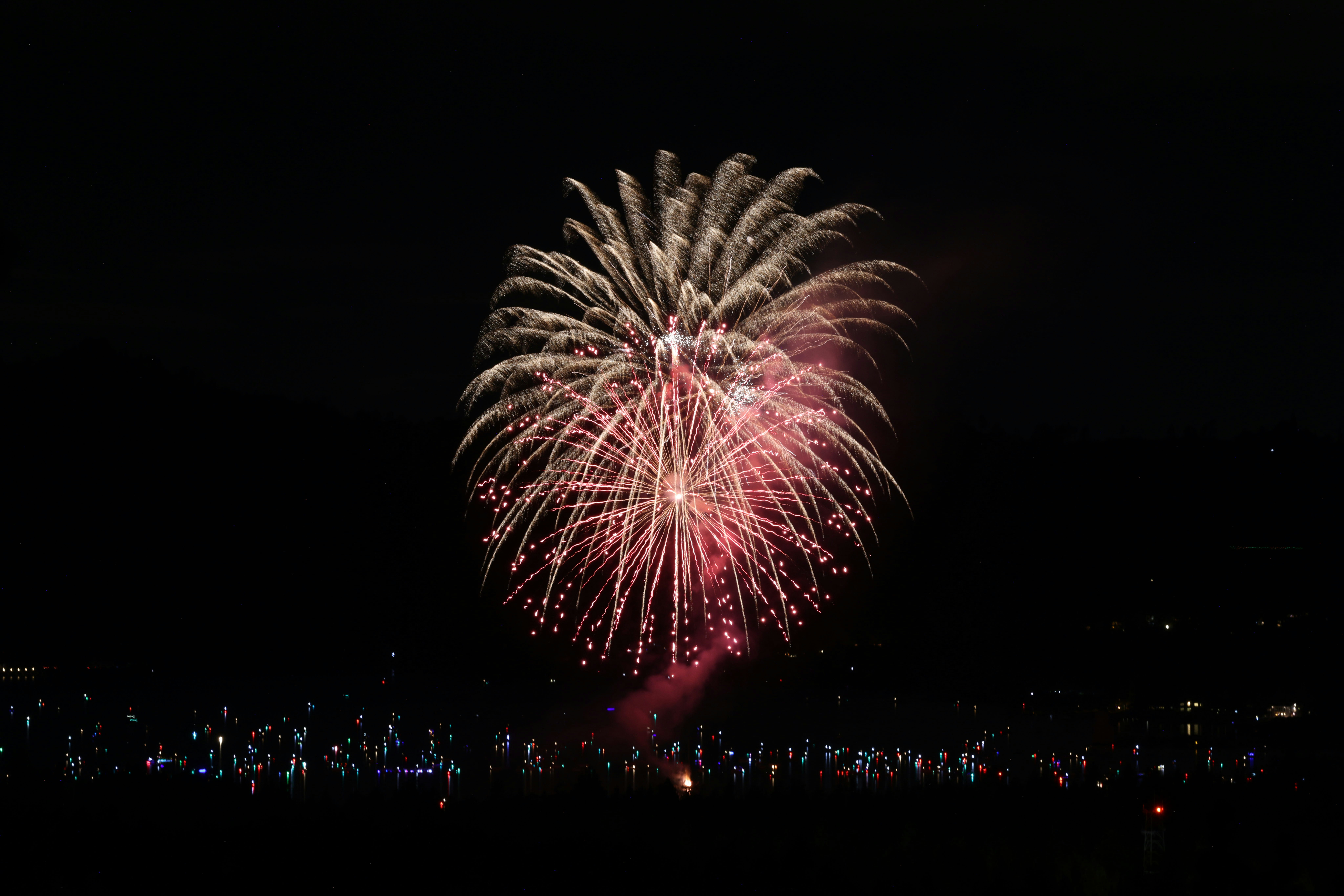Fuochi d'artificio esplodono nel cielo notturno sopra una città.