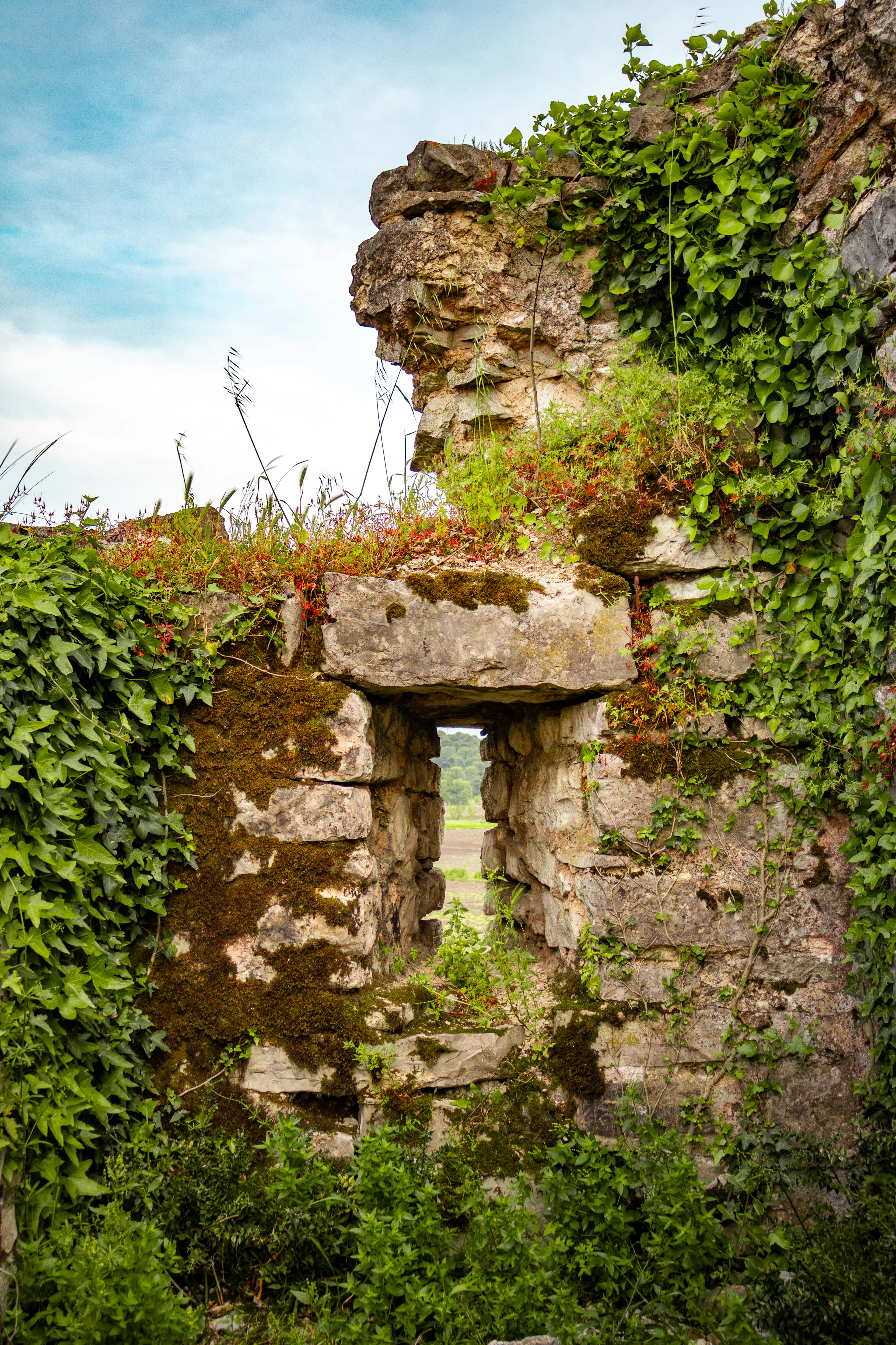 Ivy-covered stone archway within ancient ruins