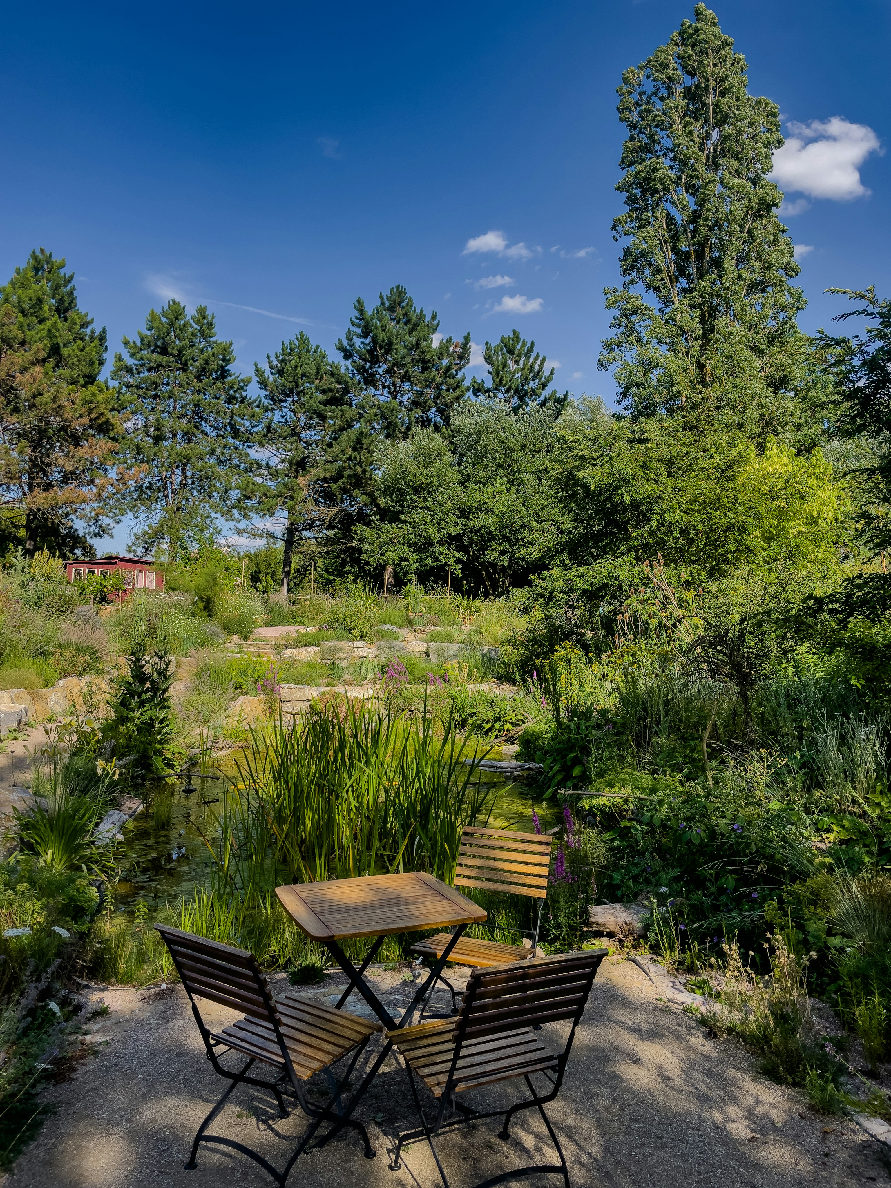 Wooden table and chairs in a serene garden.