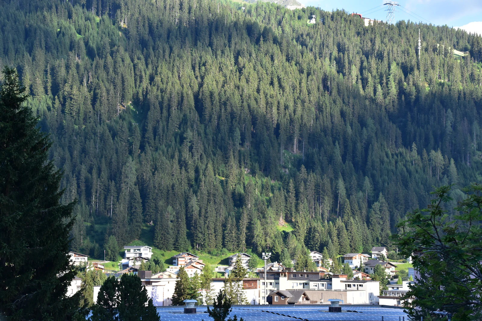 Davos at the foot of its pine forest, the highest town in Europe