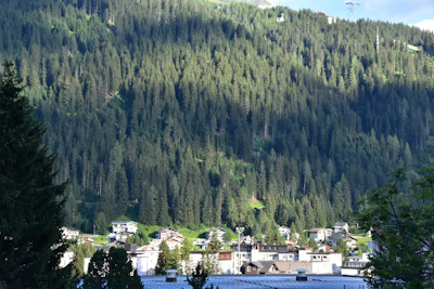 Davos at the foot of its pine forest, the highest town in Europe
