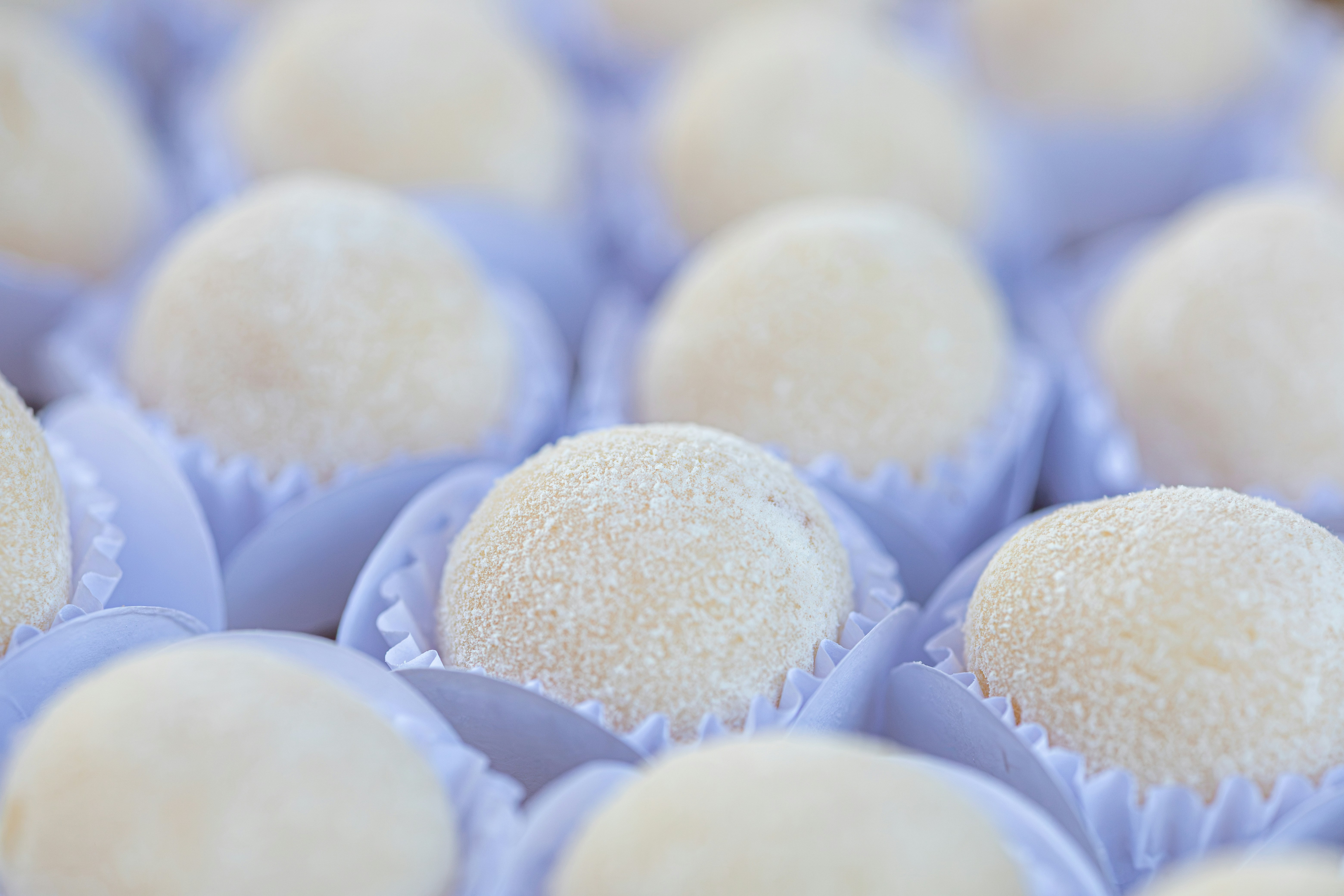Rows of white candies in individual paper cups.