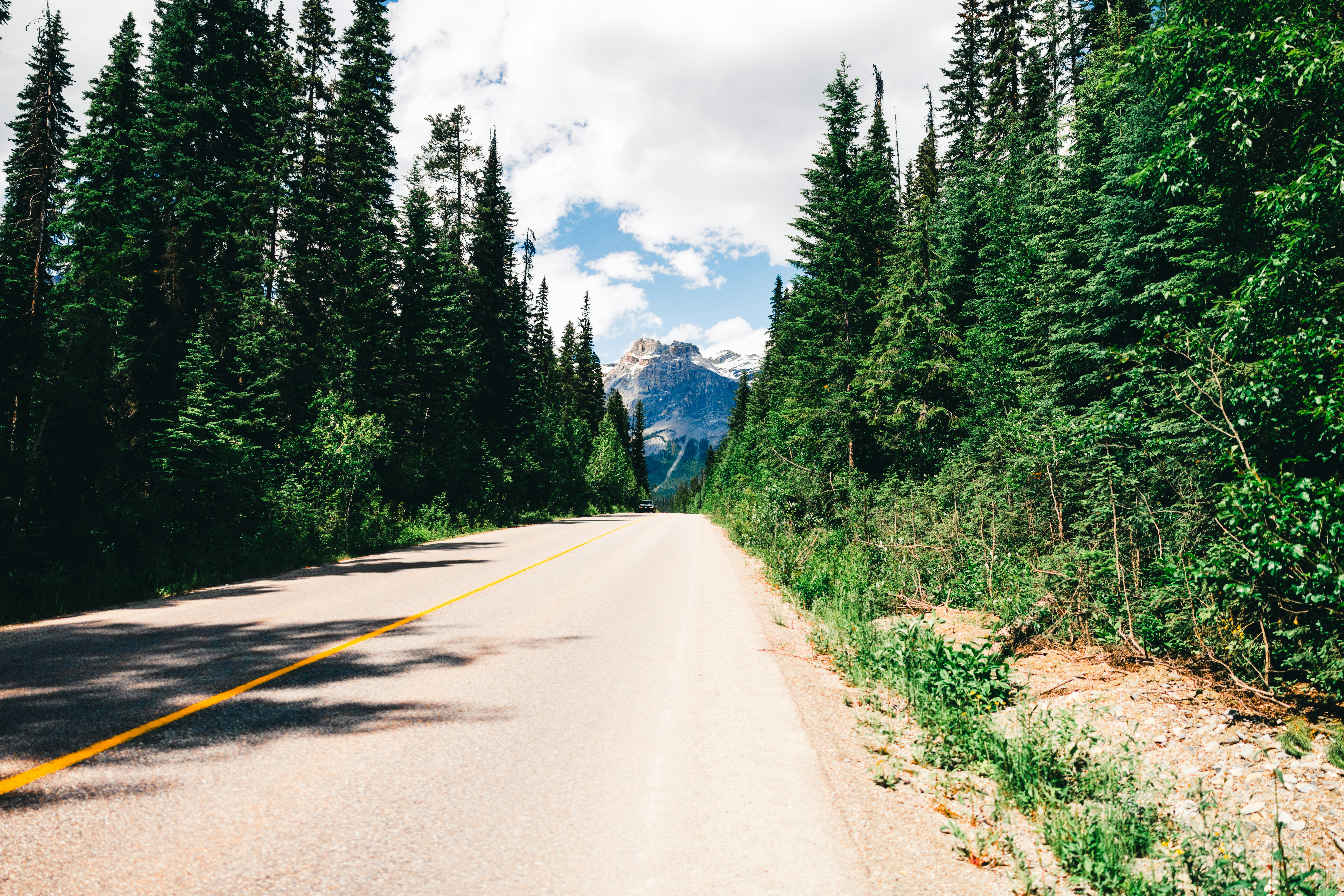 Scenic road through green forest with distant mountain peak.