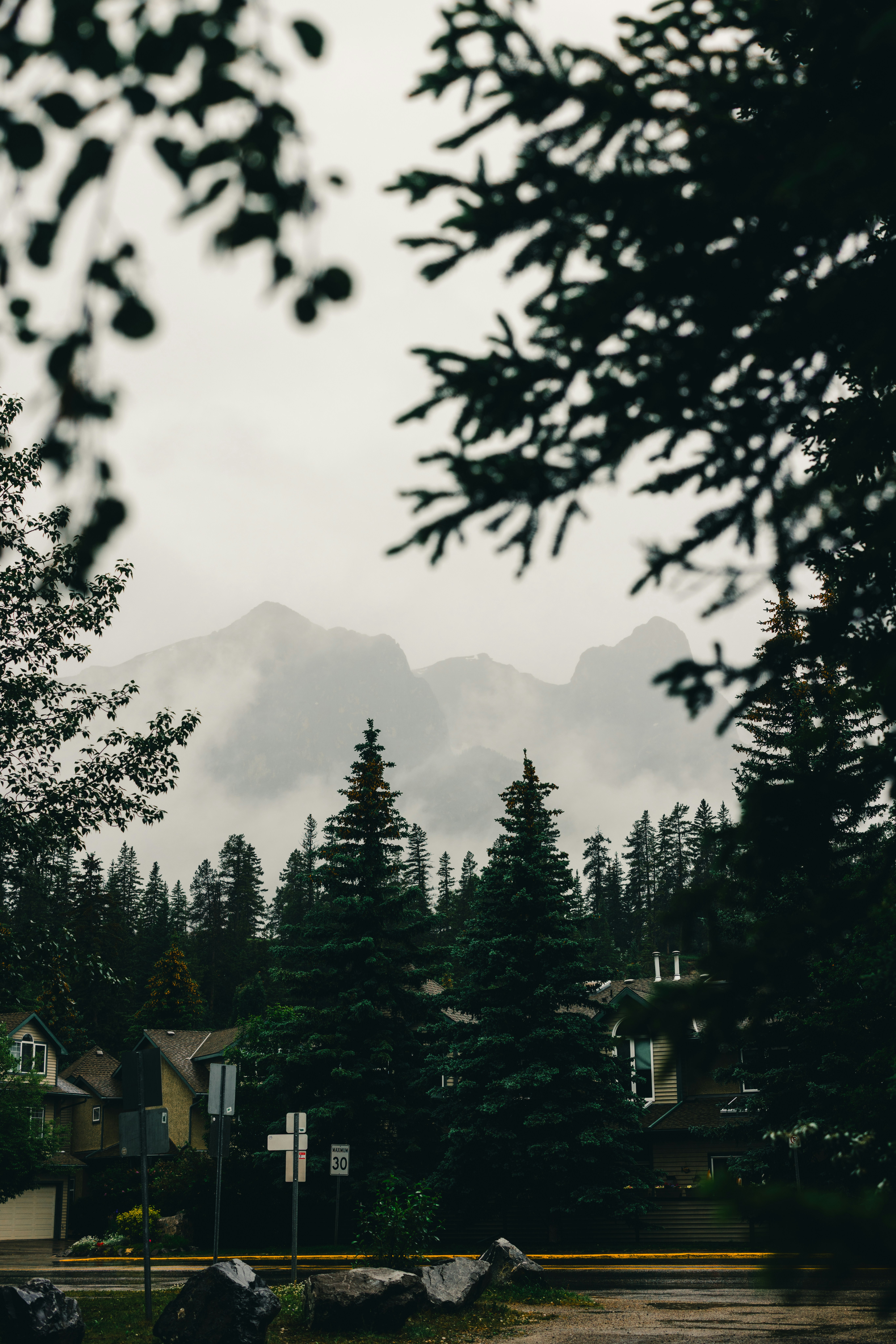 Cloudy mountain landscape with evergreen trees and houses.