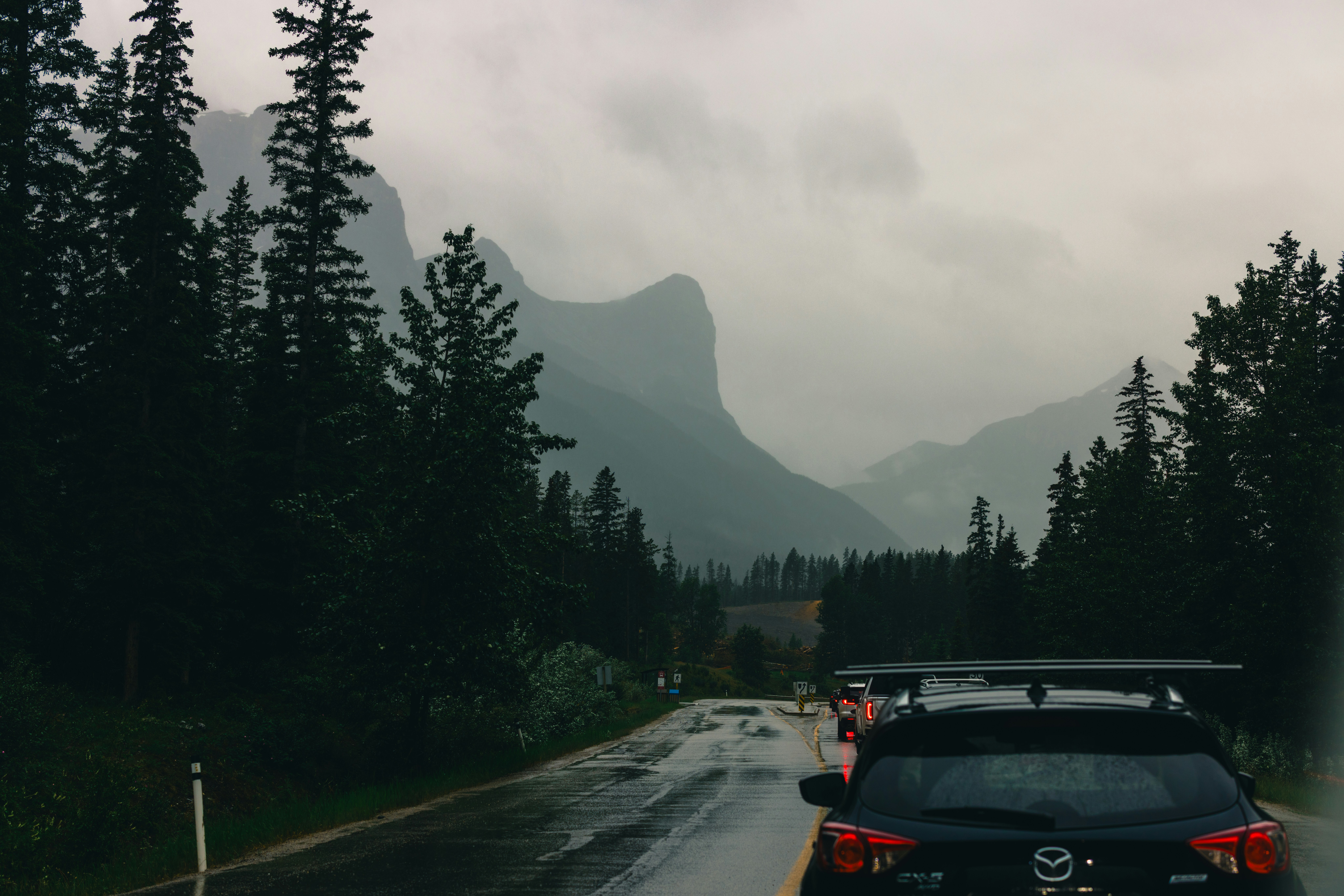 Wet road through a forest with misty mountains.
