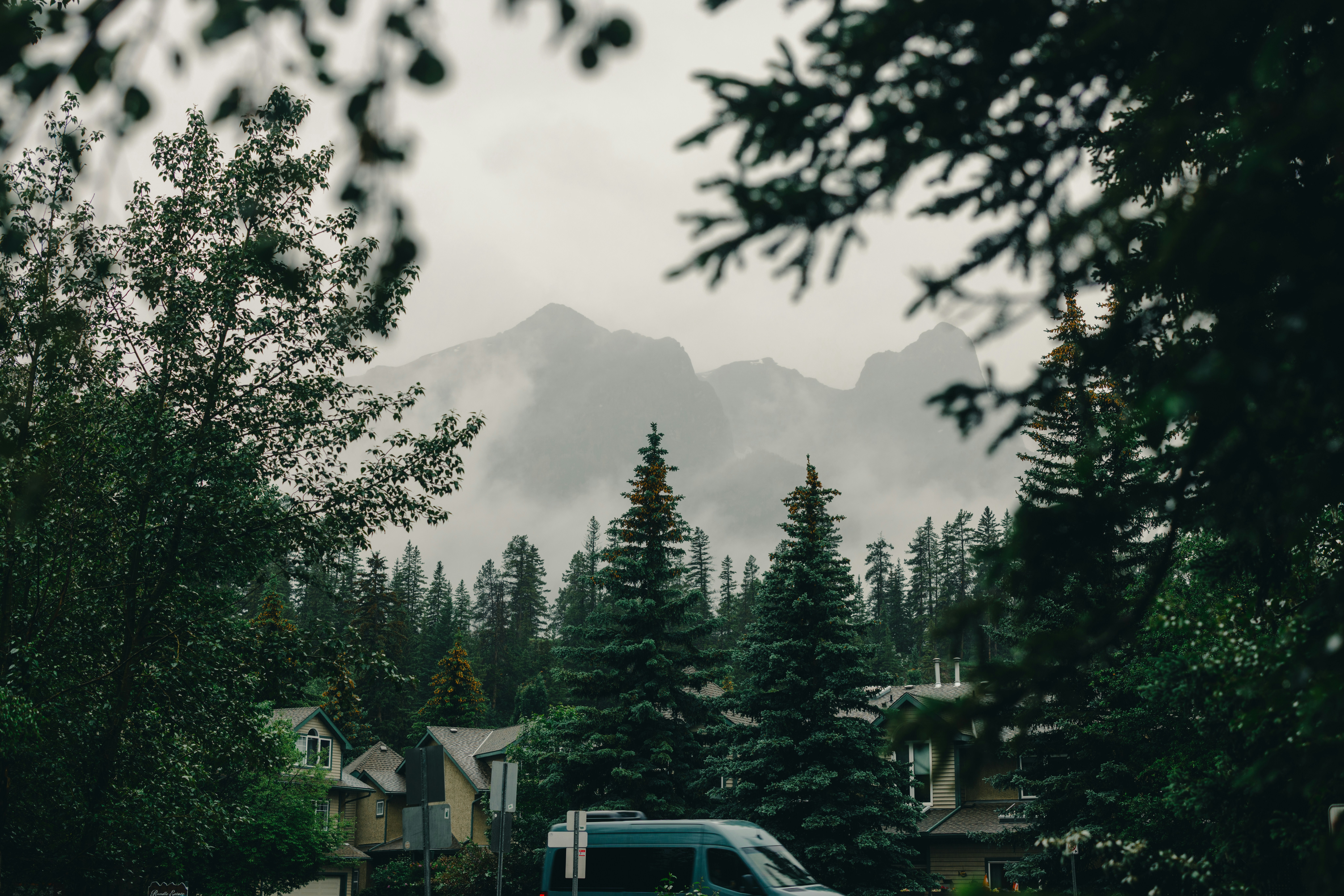 Misty mountains rise above a forest and houses.