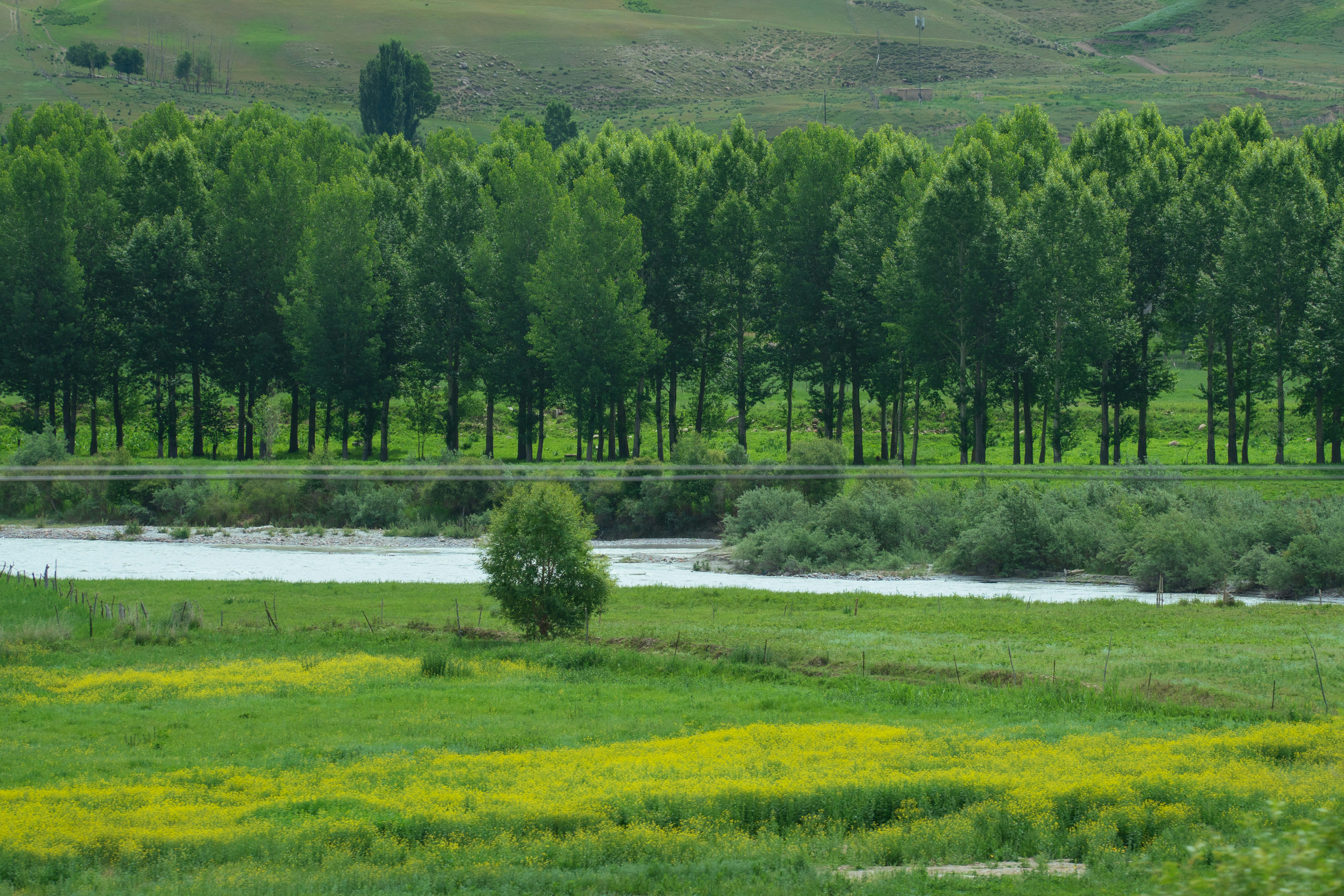 Nature Lush Green Landscape With A River And Distant Trees. 4K Wallpaper #2780