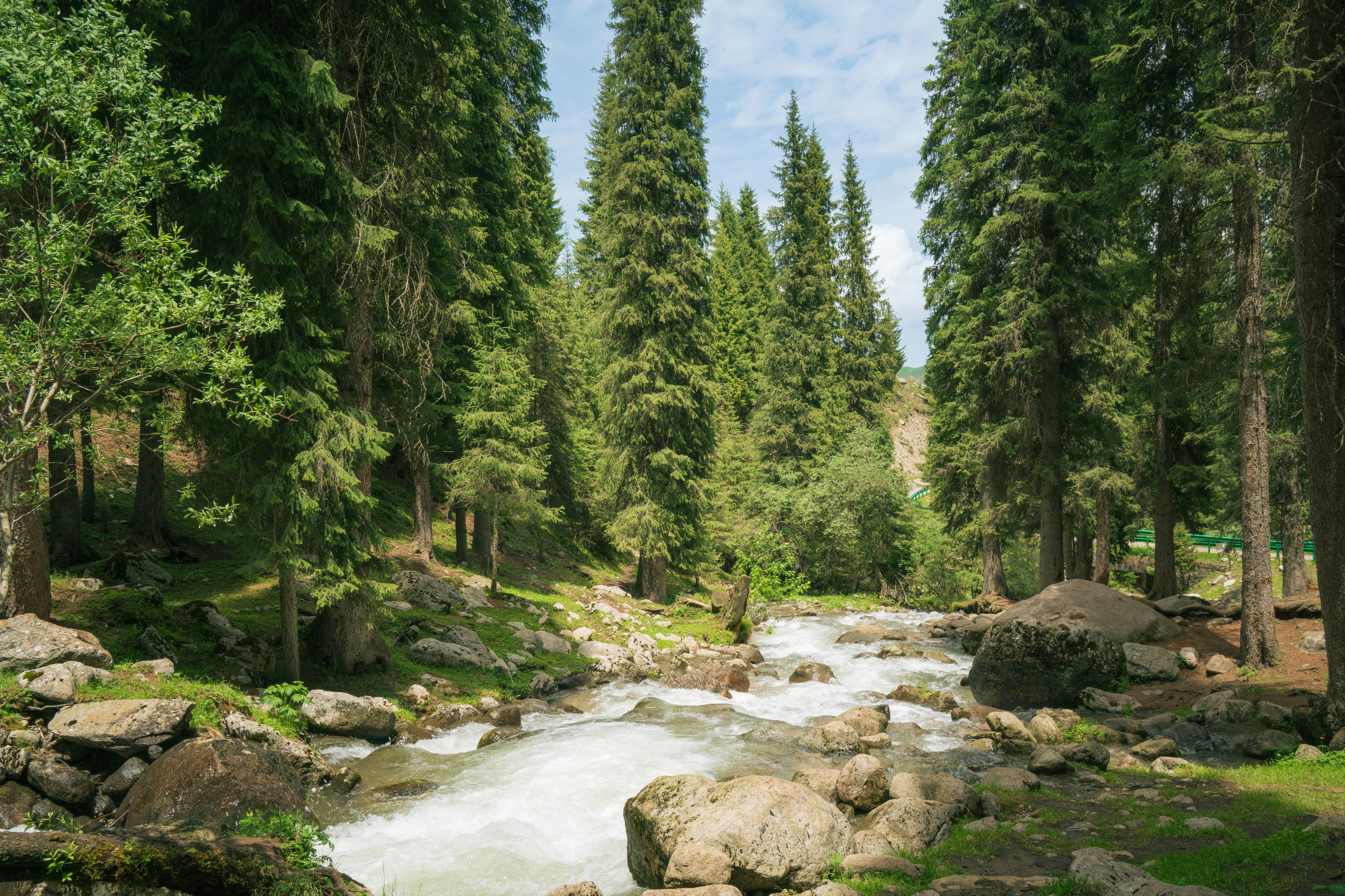 Nature Scenic River Winding Through A Lush Evergreen Forest. 4K Wallpaper #2778