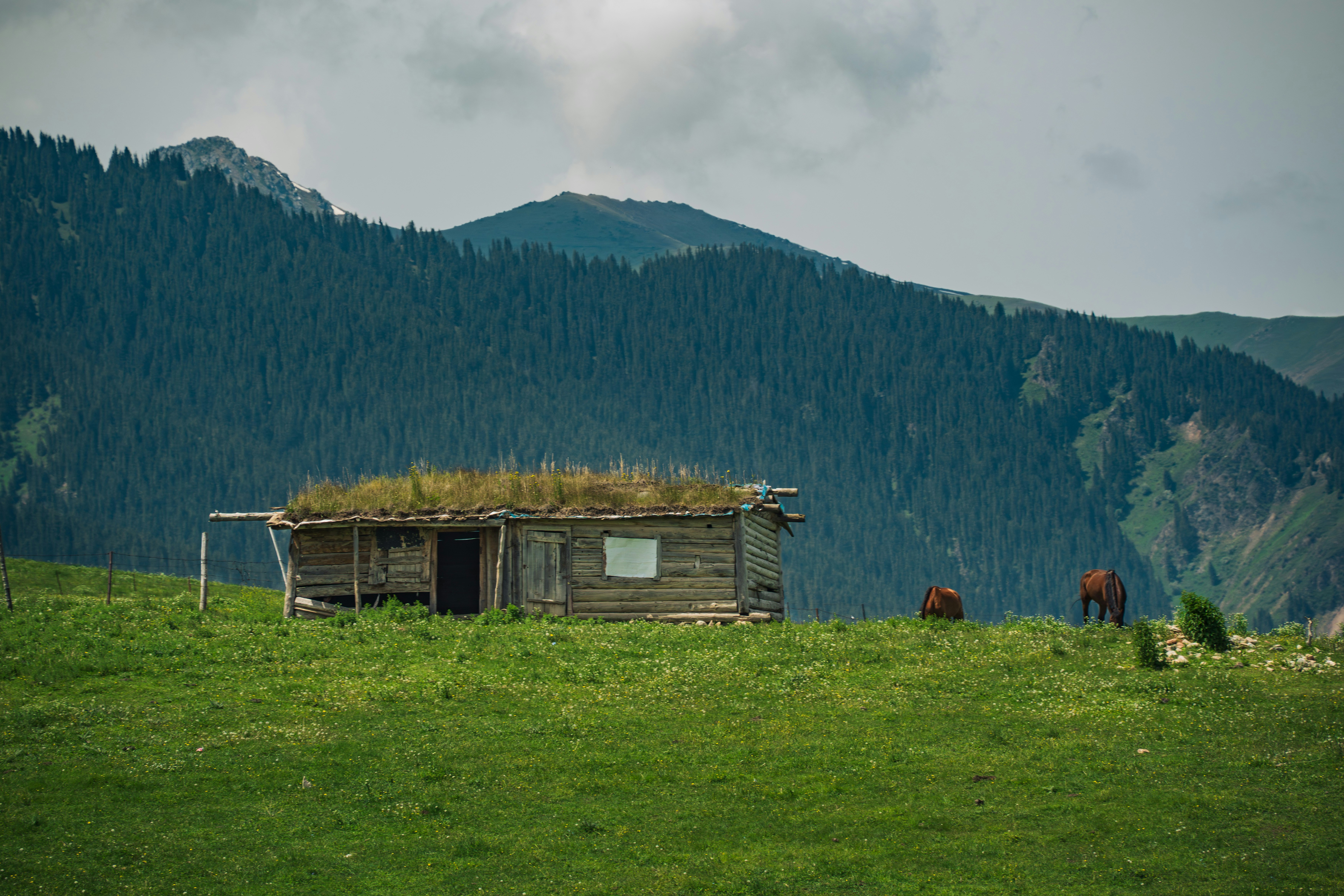 Wooden cabin with grass roof on a green mountain slope.