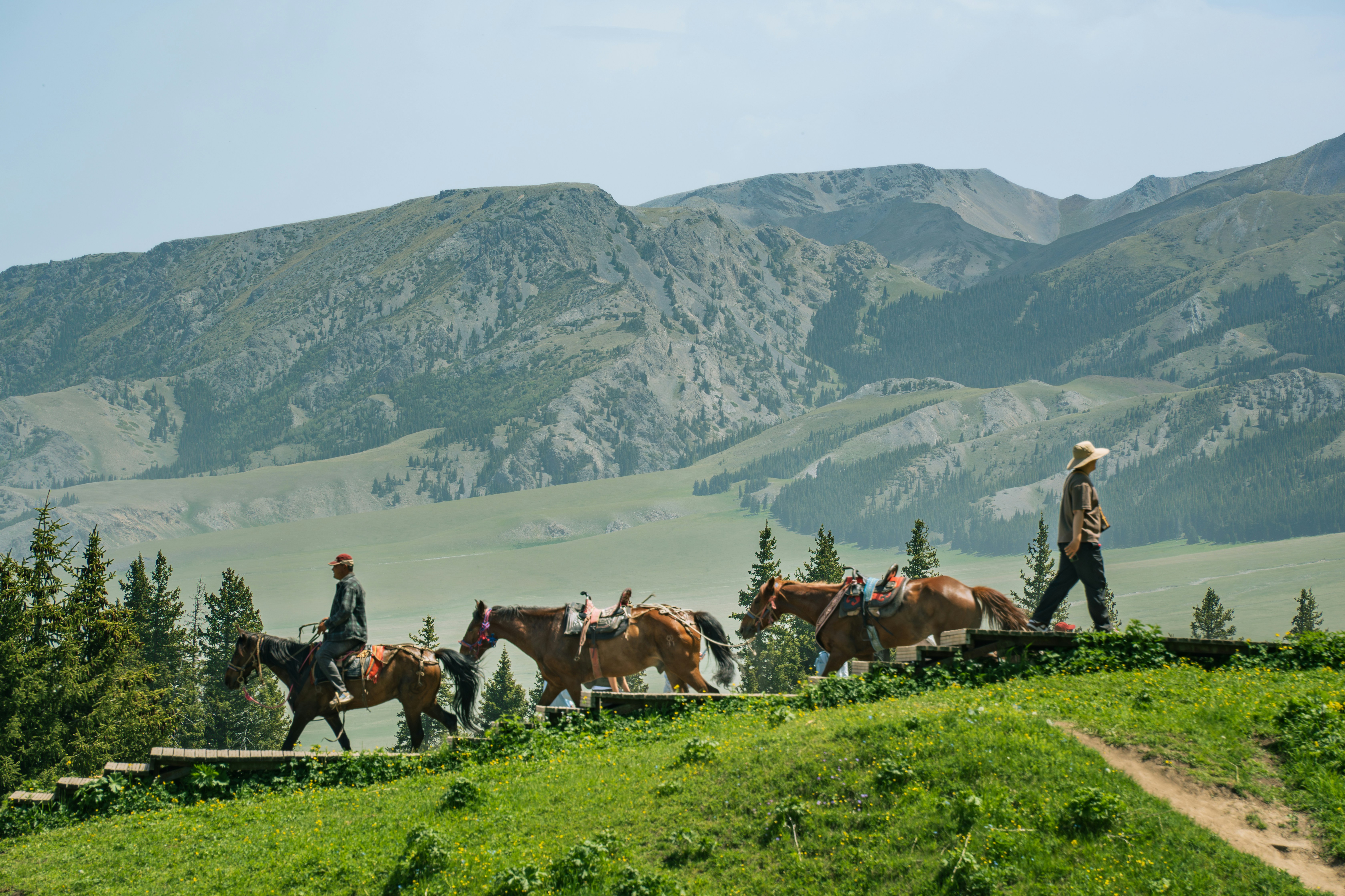 People riding and leading horses on a green mountain trail.