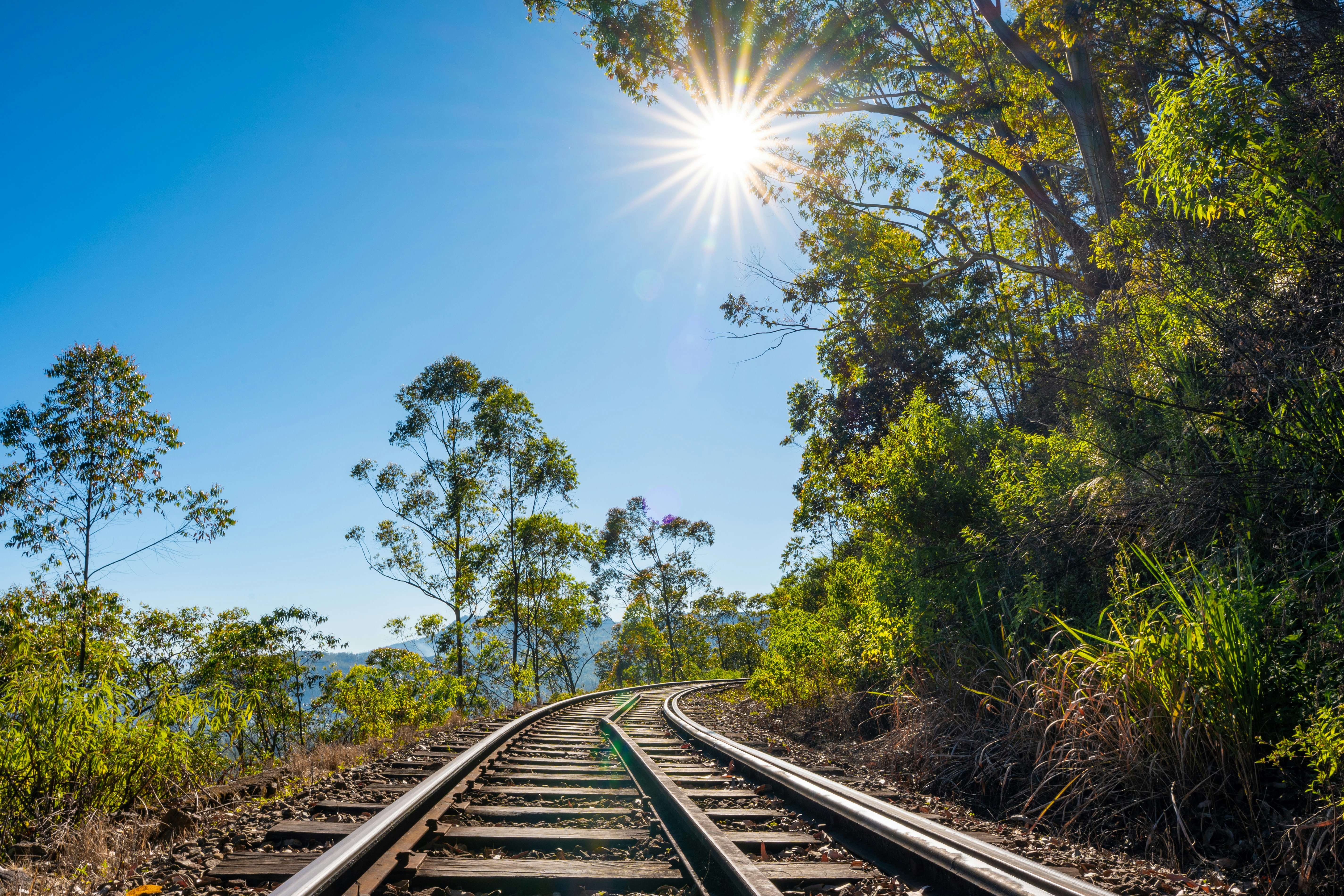 Railway track curving through sunny bushland with eucalypts