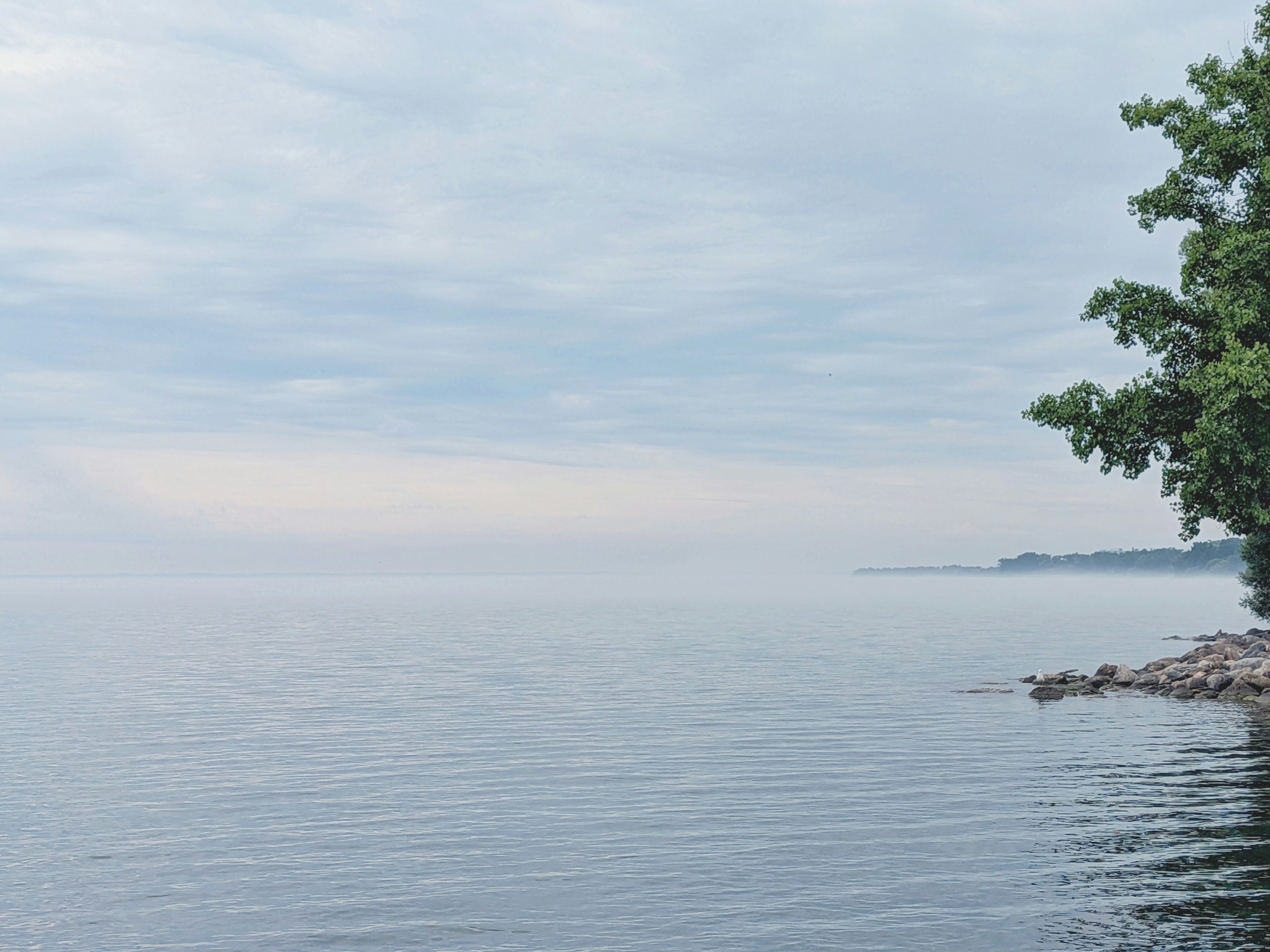 Calm water with trees and rocks under a cloudy sky.