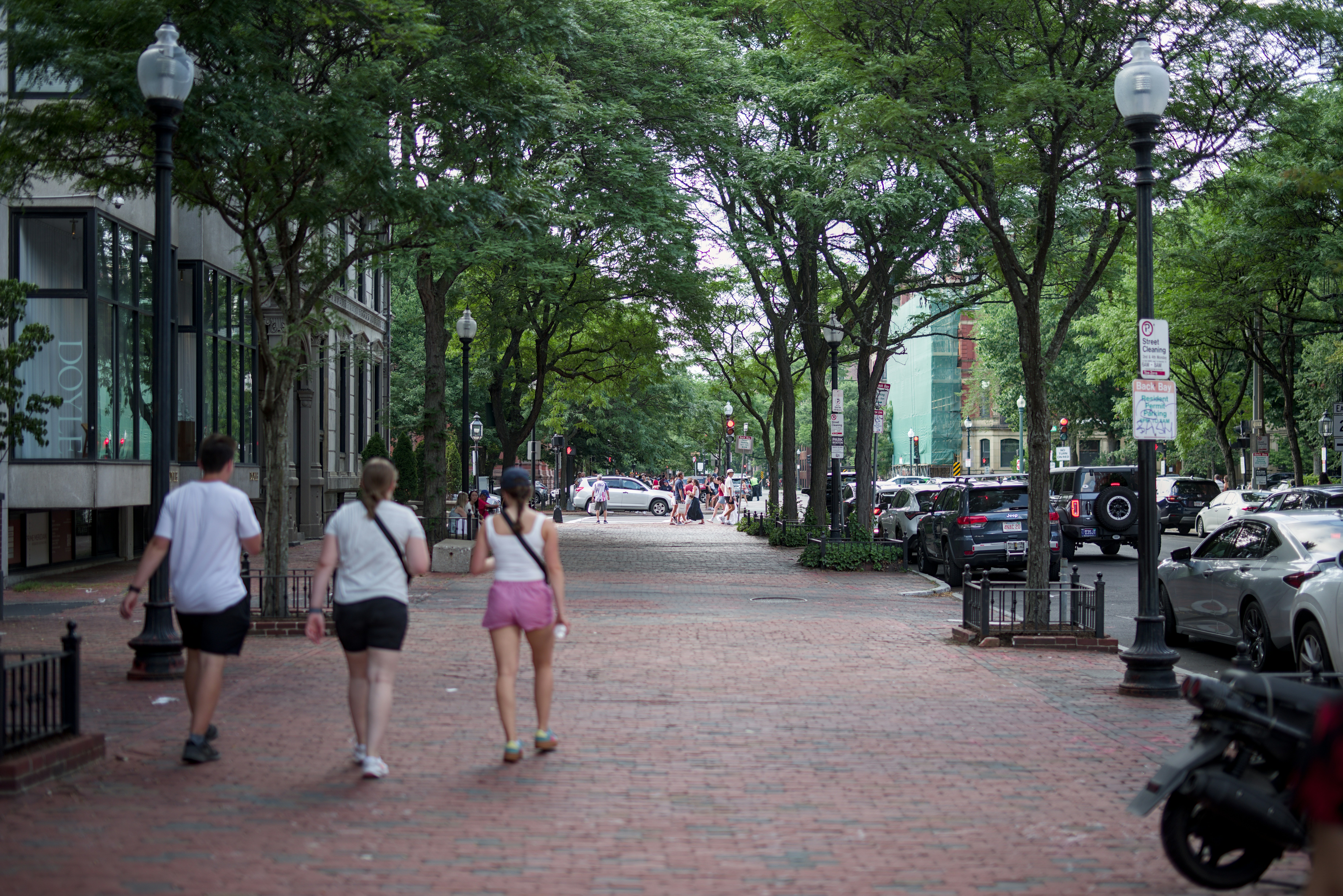 Three people walk on a tree-lined city sidewalk