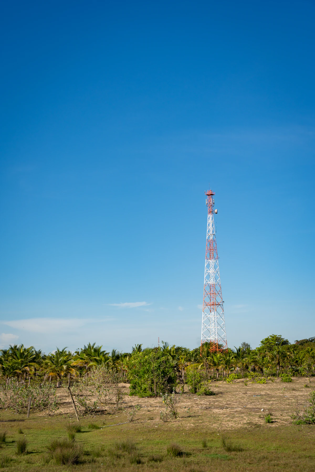 Coverage Is Only Part of the Caribbean's AI Access Problem