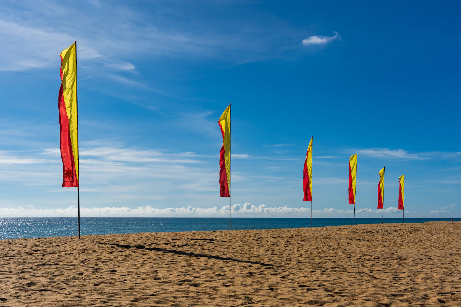 Row of red and yellow flags on a sunny beach