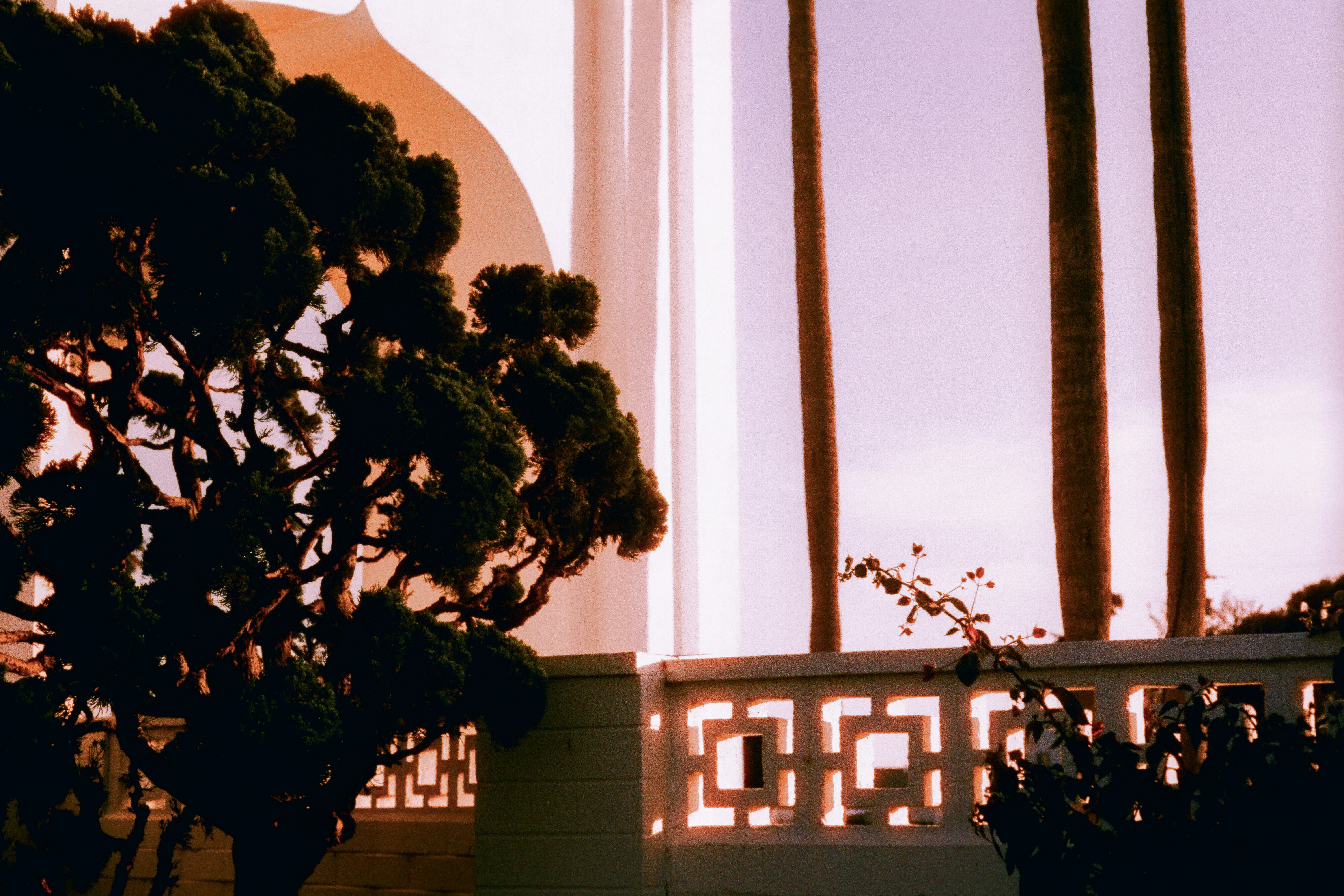 Architectural details and tree silhouetted against a vibrant sky.