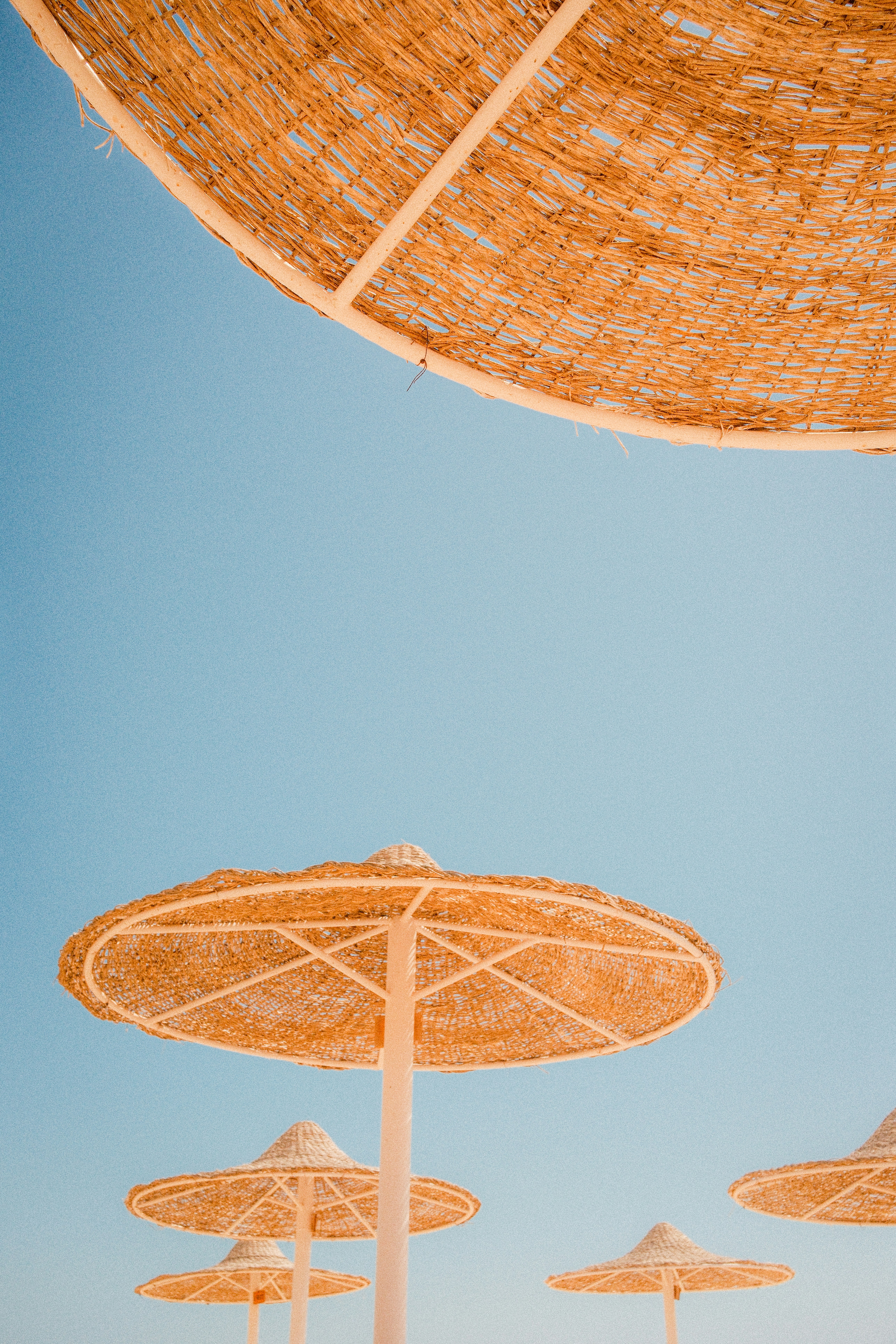 Several straw beach umbrellas against a clear blue sky