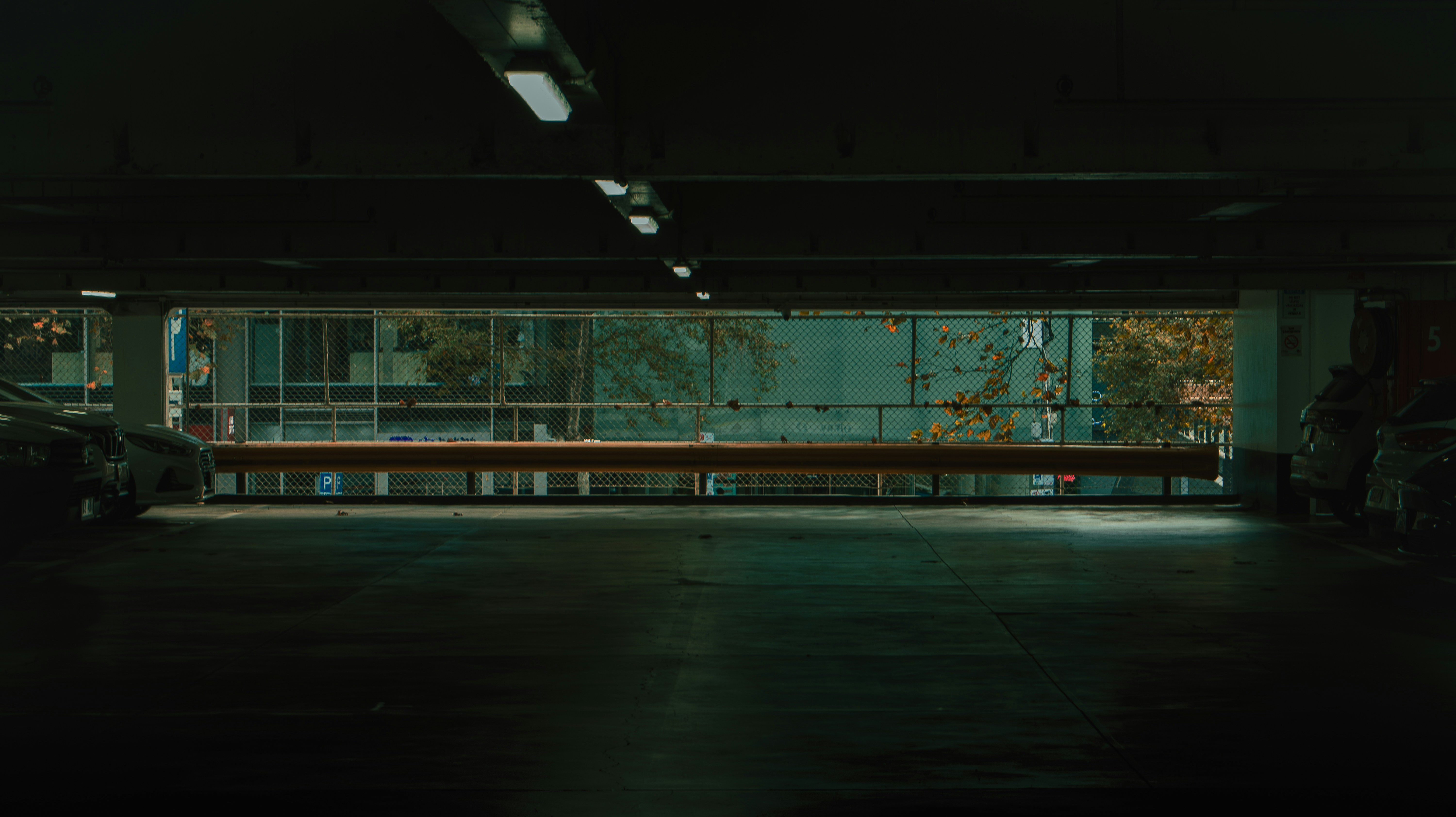 No Community, No Comparable: The Quiet Solitude of Owning a Vehicle Nobody Else Has
