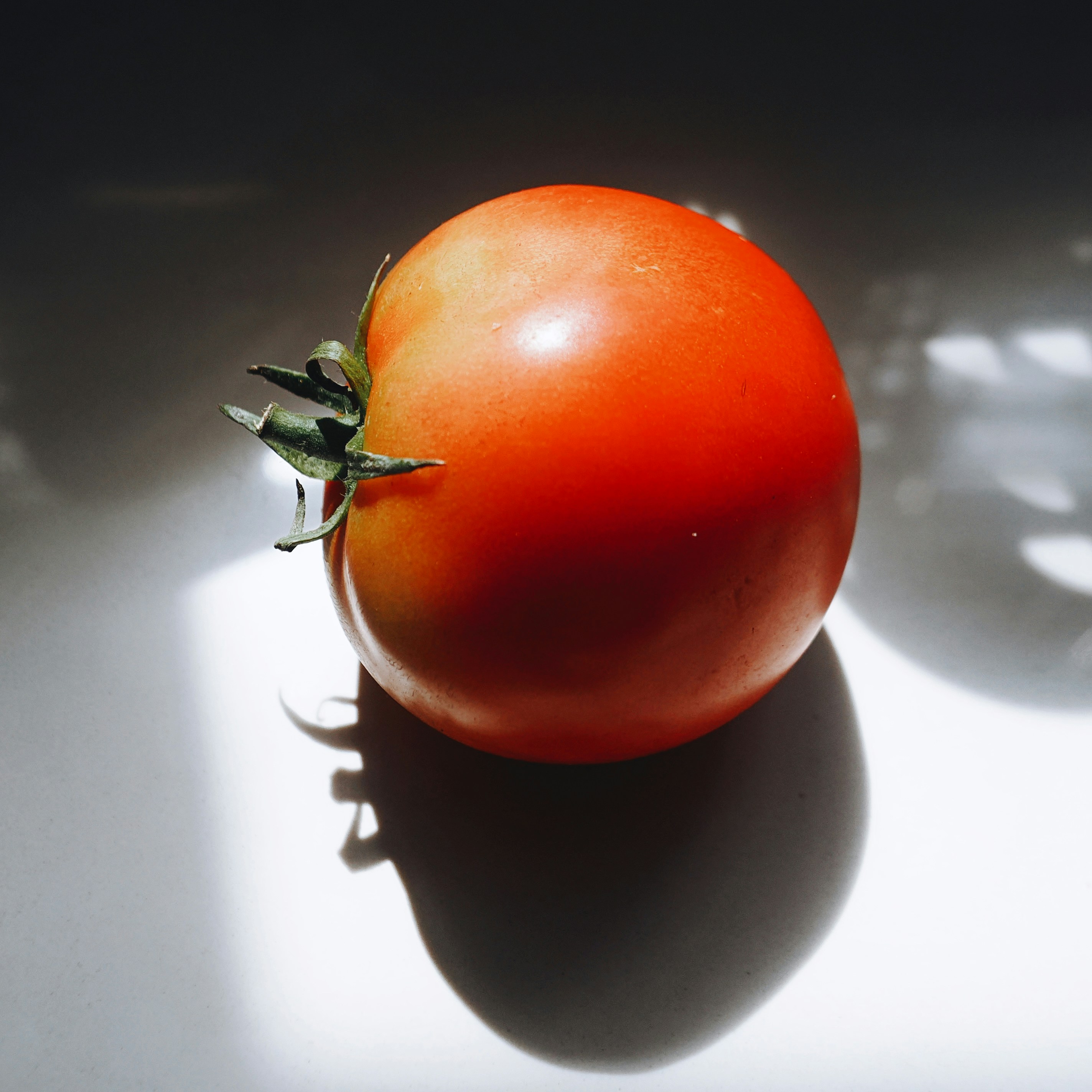 A single red tomato with green stem casting a shadow.