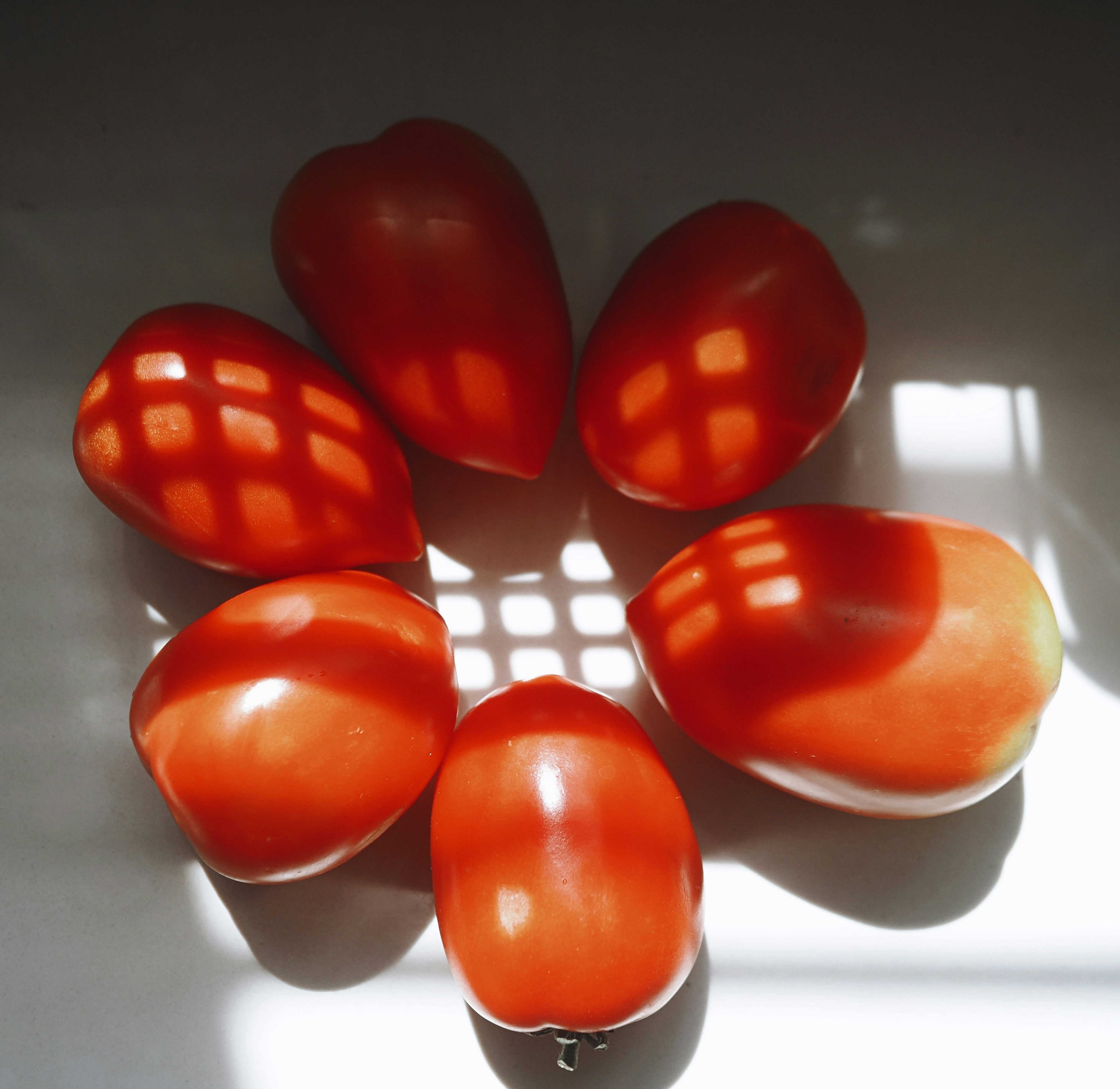 Red plum tomatoes arranged in a circle with grid shadows.