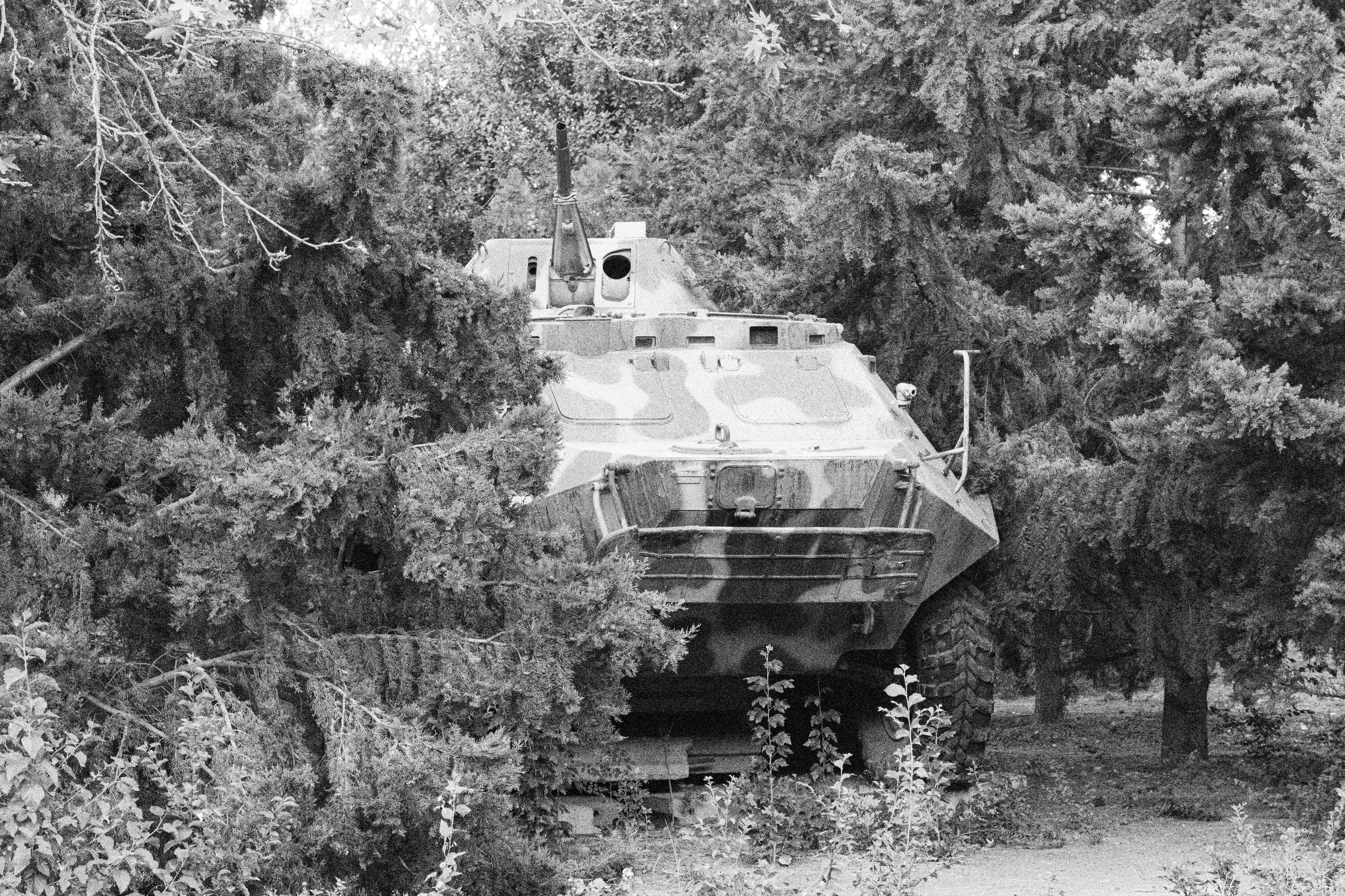 Um veículo militar camuflado escondido entre árvores densas.