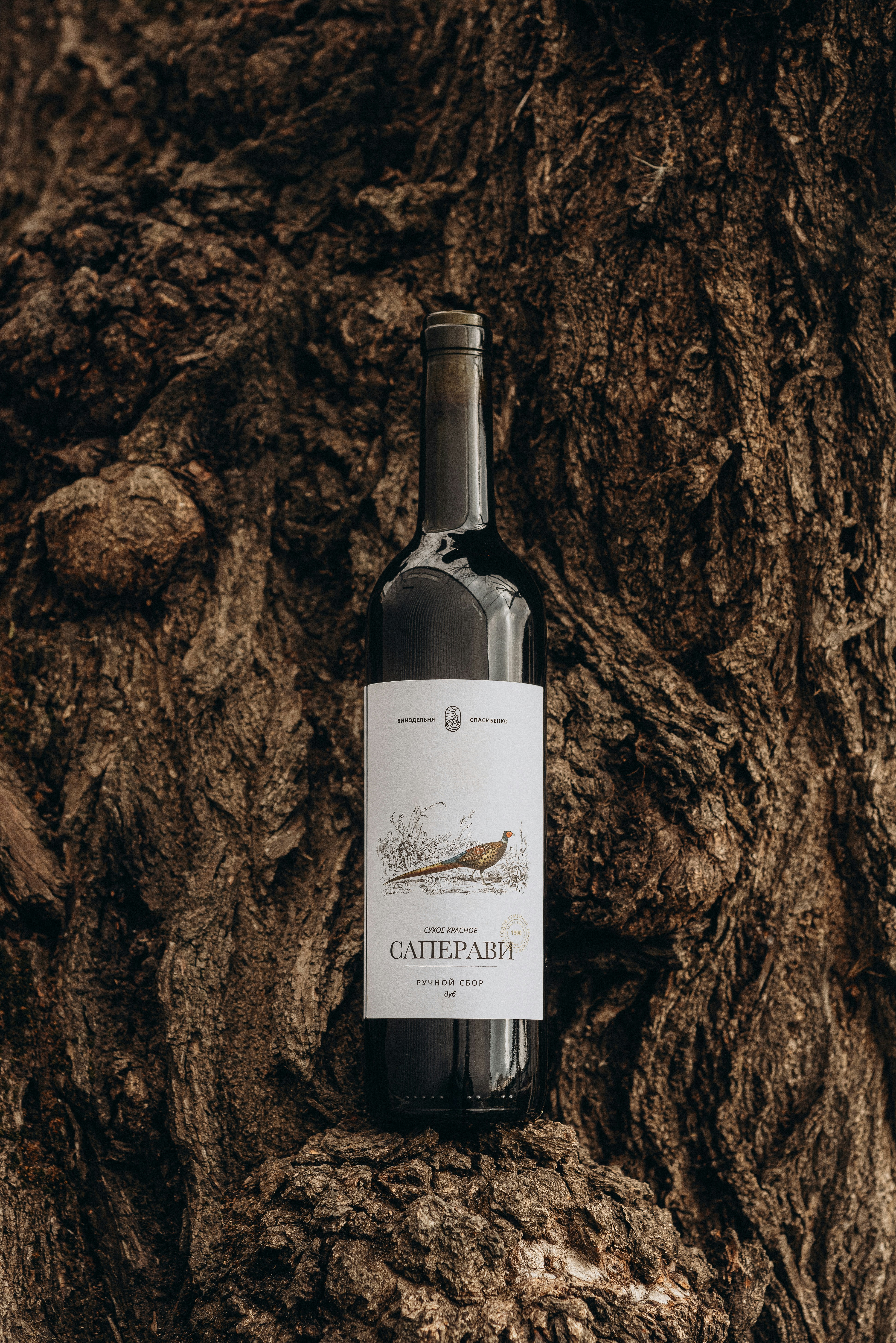 Red wine bottle with bird label on tree bark.