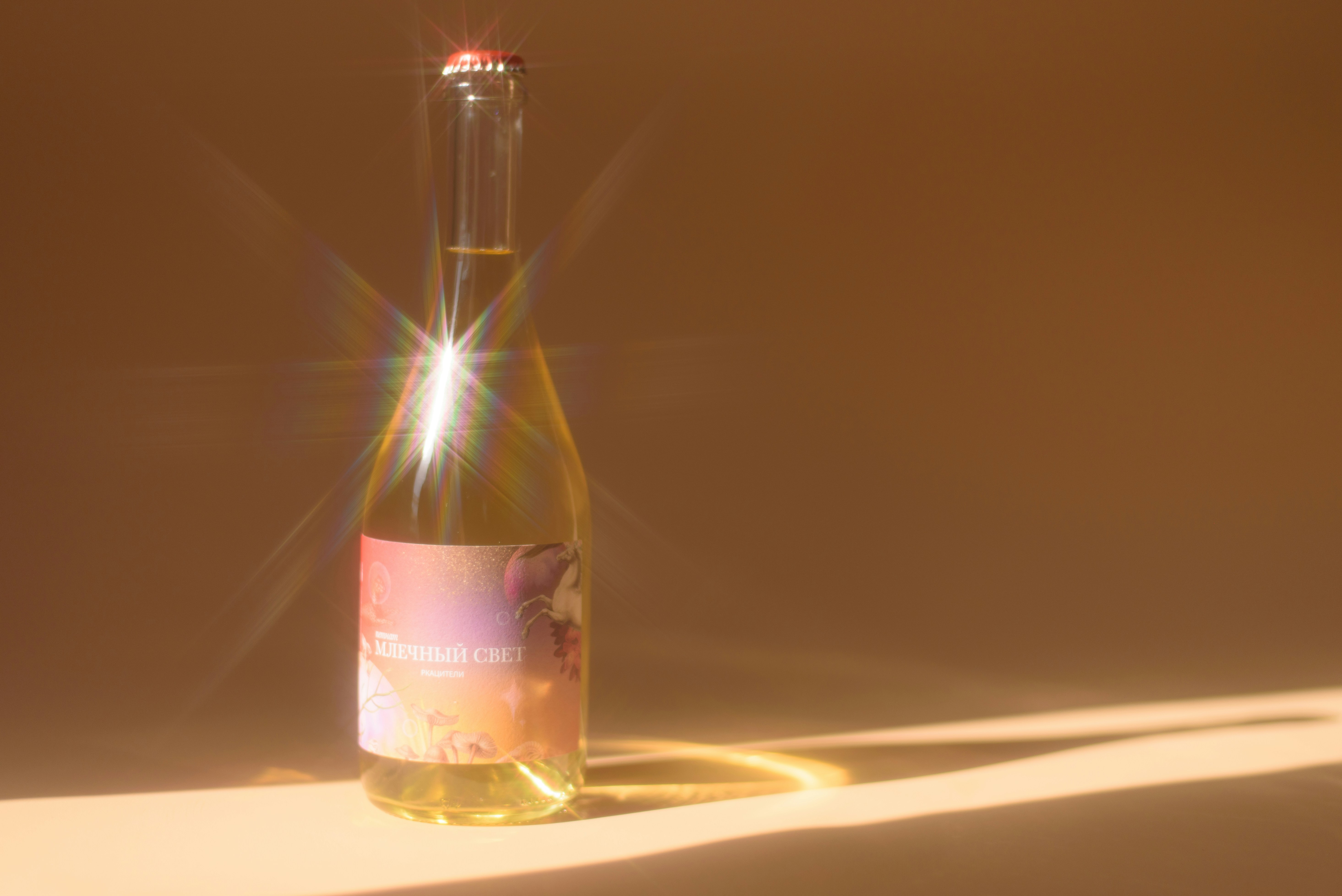 A bottle of sparkling wine with sun flares and shadows.