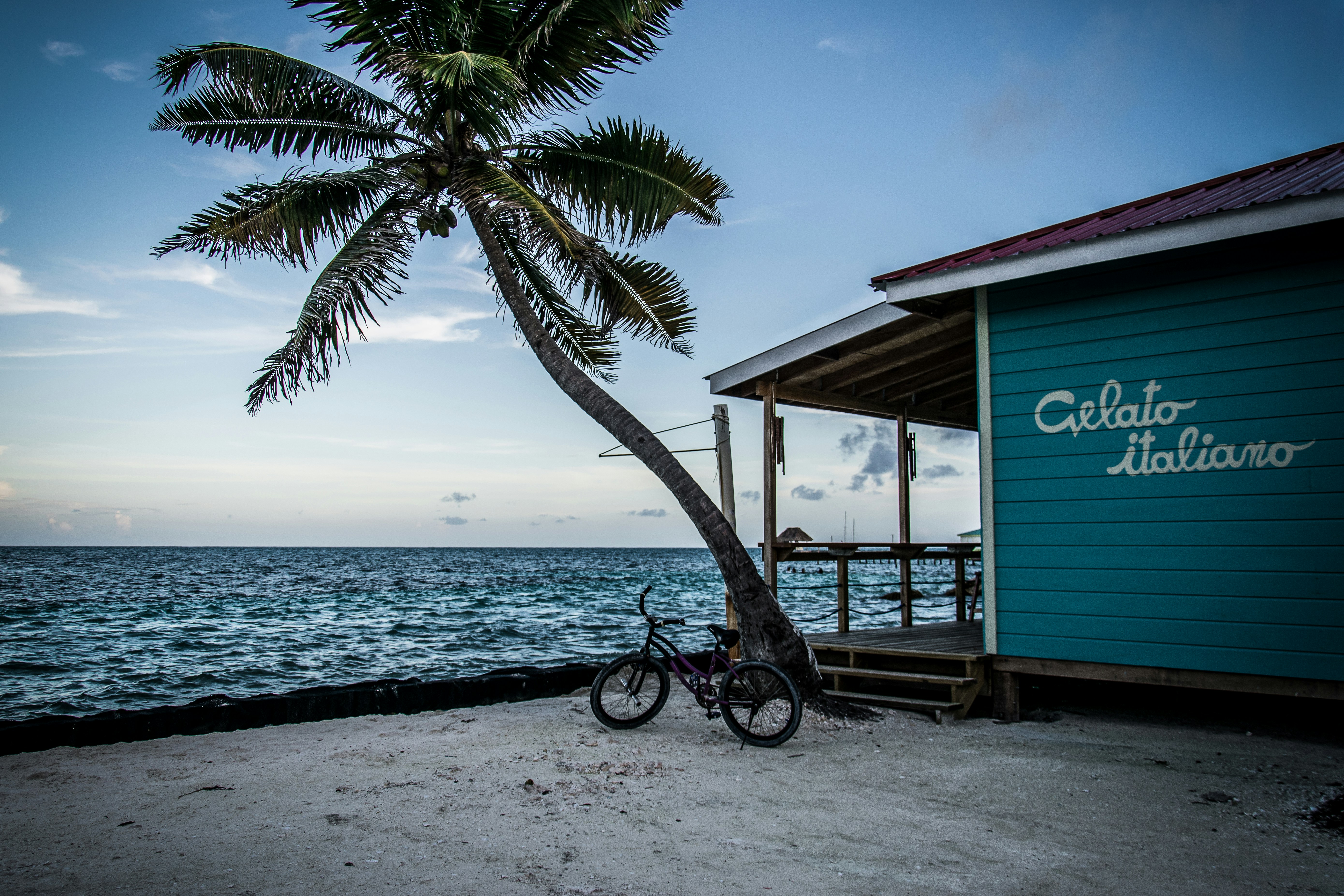 Beachfront gelato shop with a palm tree and bicycle