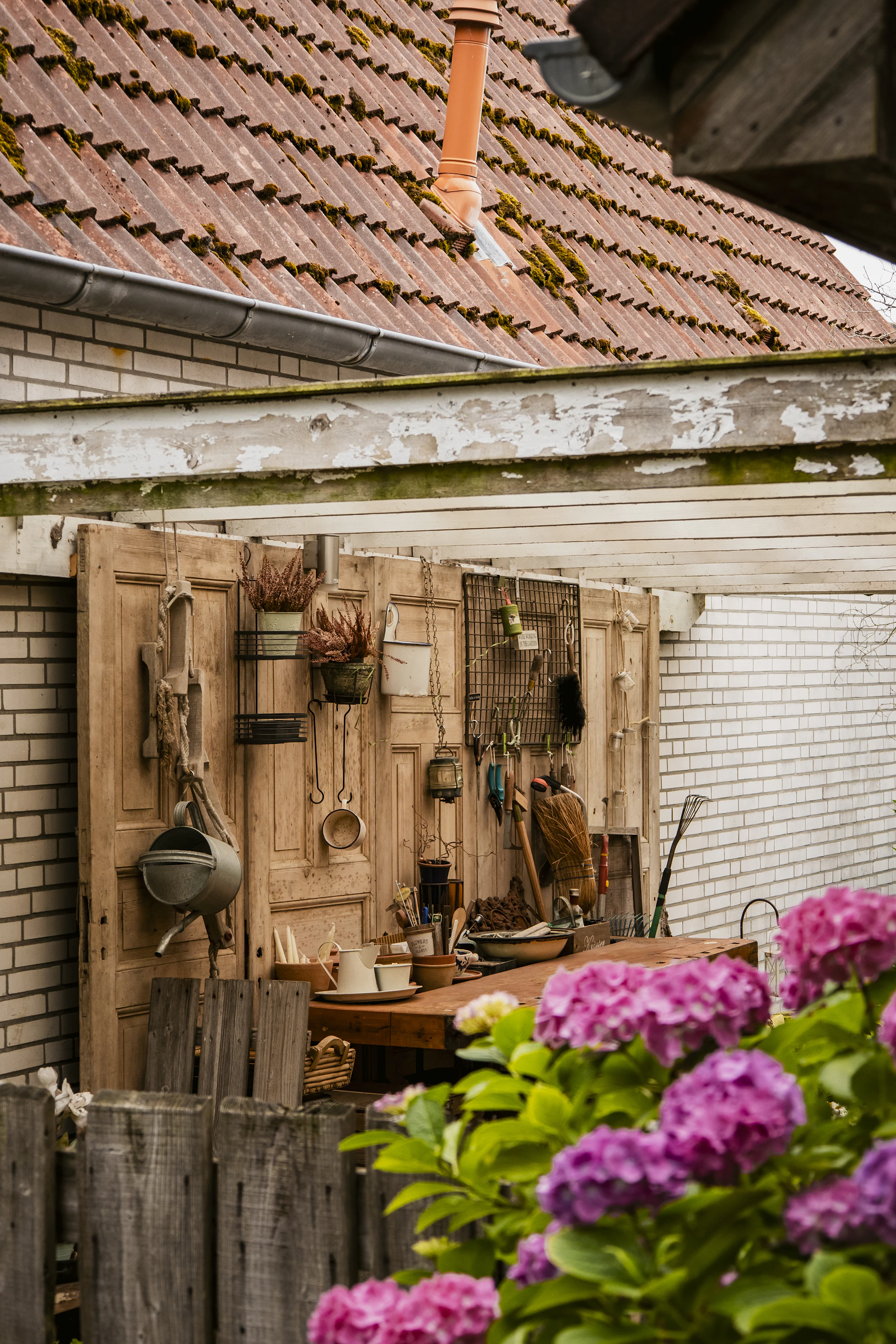 Rustic outdoor workspace with tools and vibrant pink hydrangeas