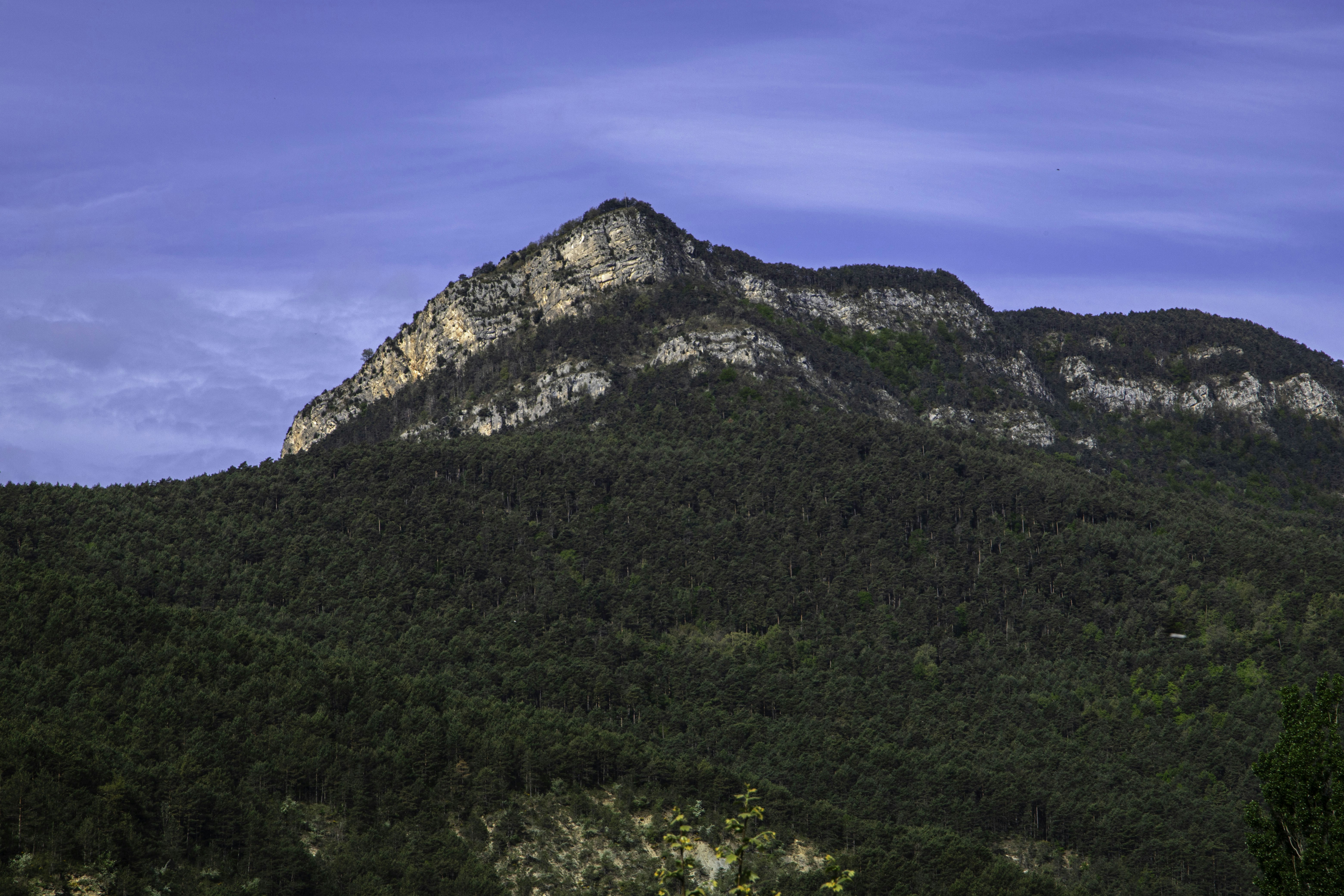 Green forested mountain peak against a clear blue sky.