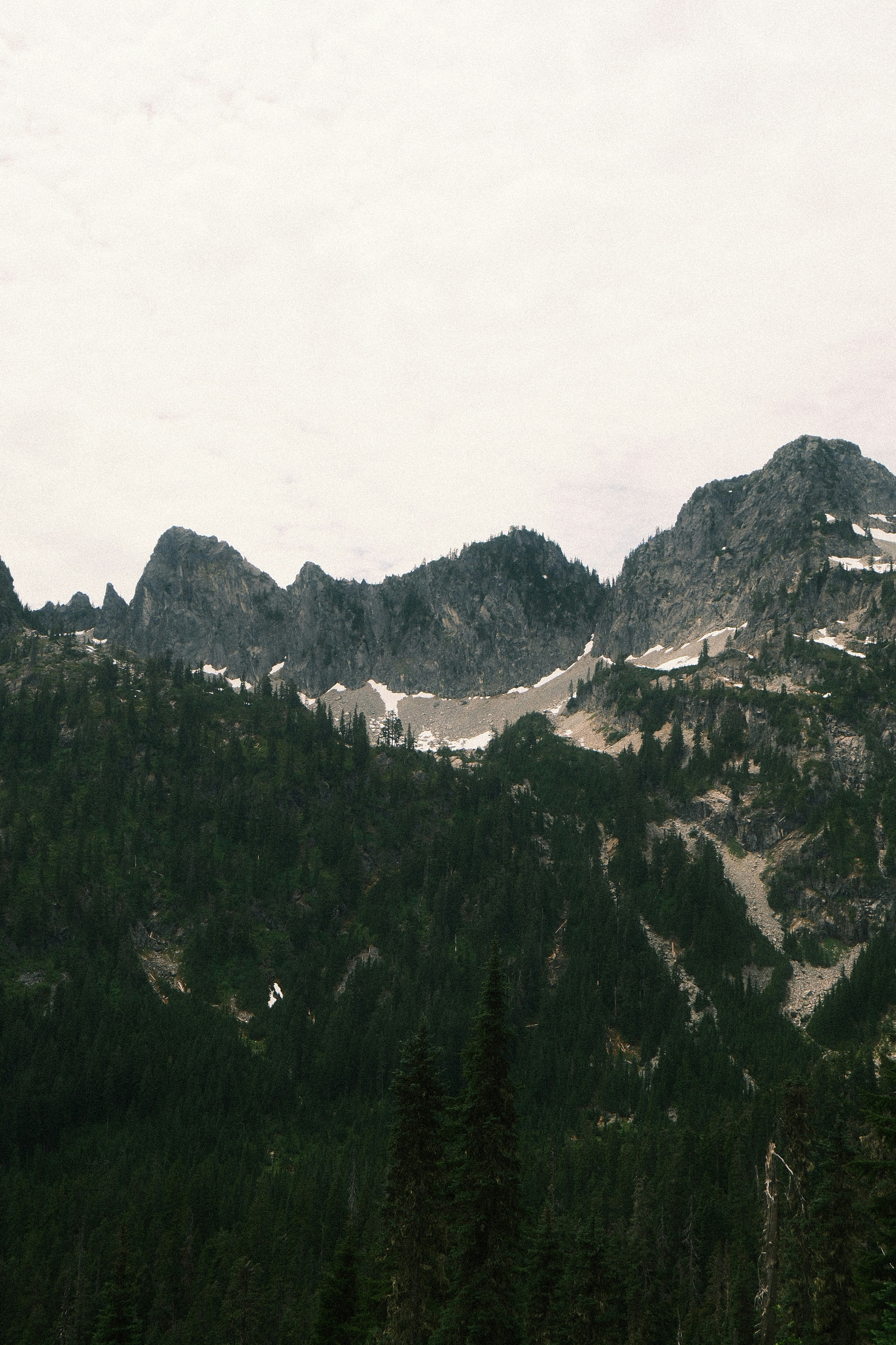 Dark forested mountains with snow under a bright sky.